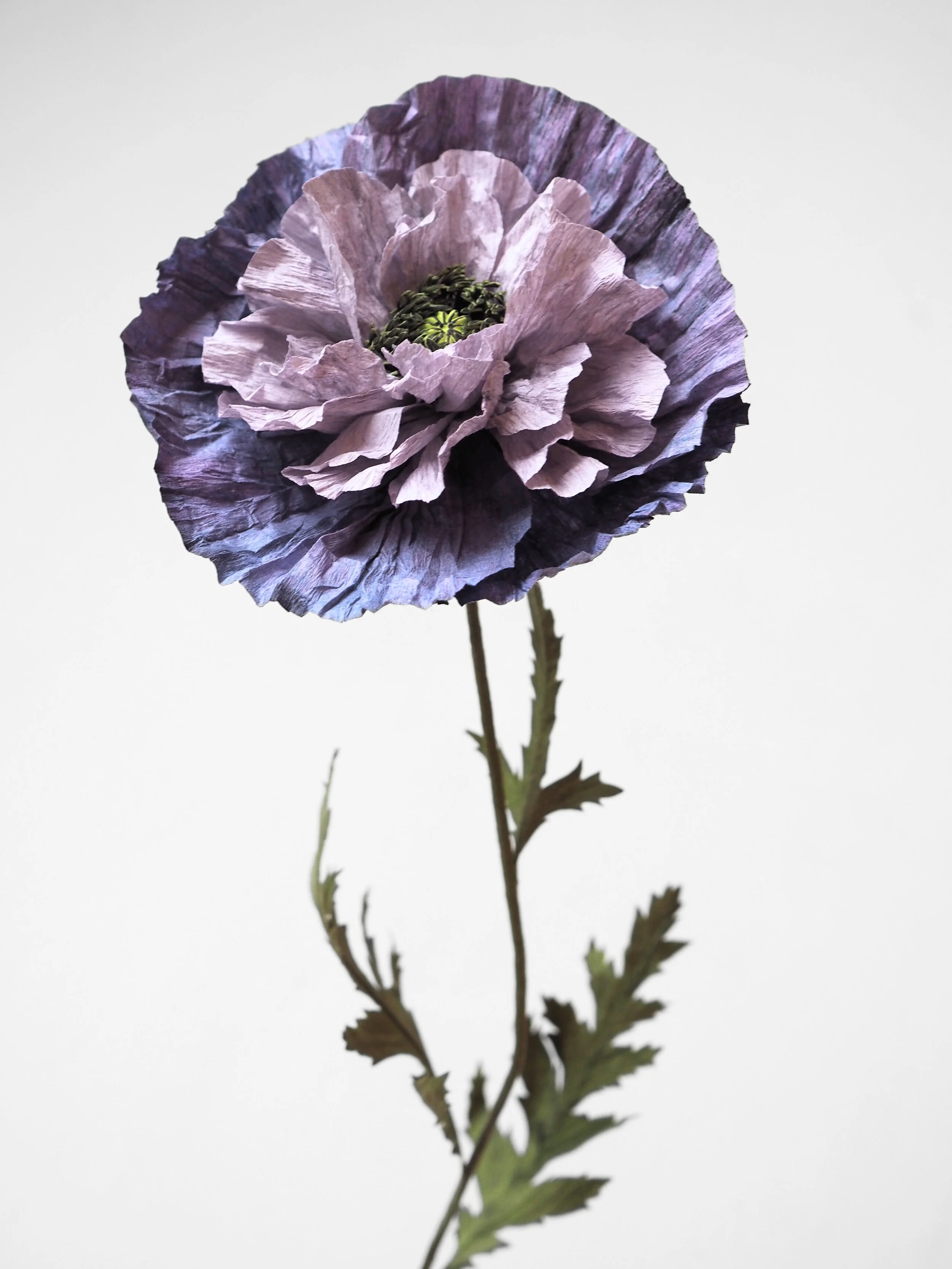 P2200784 - Edited.jpg