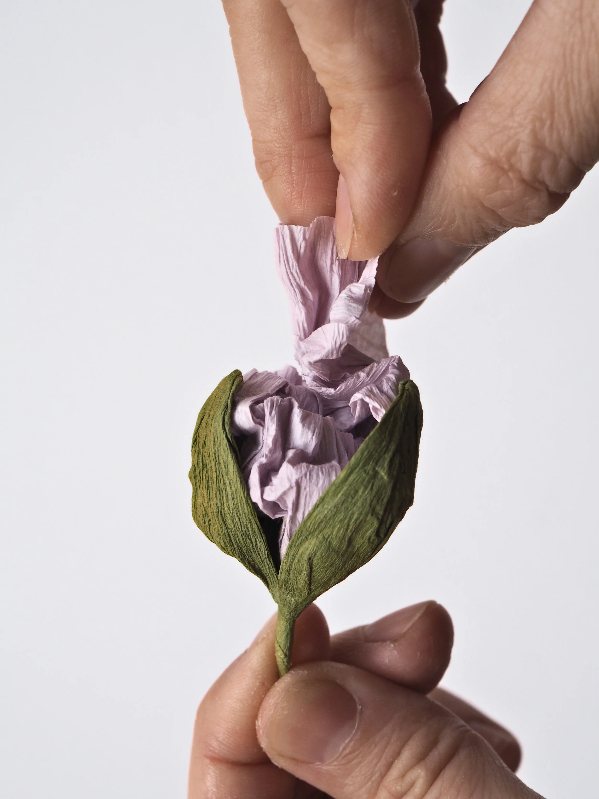 P3031002 - Edited.jpg