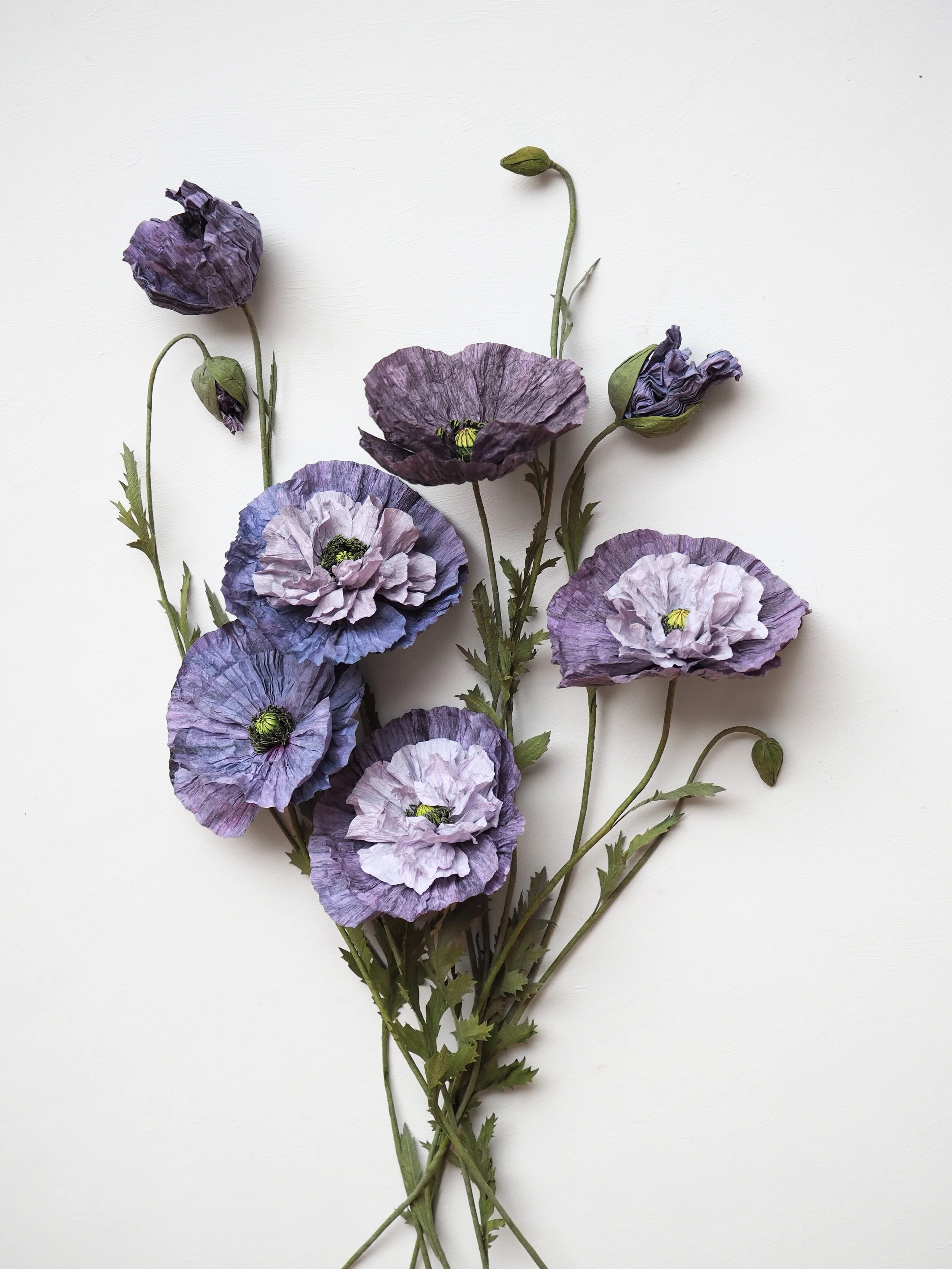 P2200759 - Edited.jpg