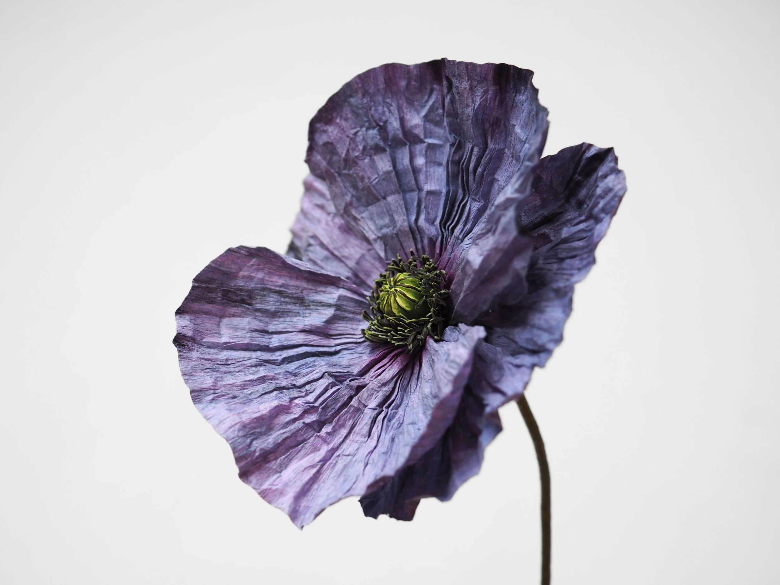 P2200763 - Edited.jpg