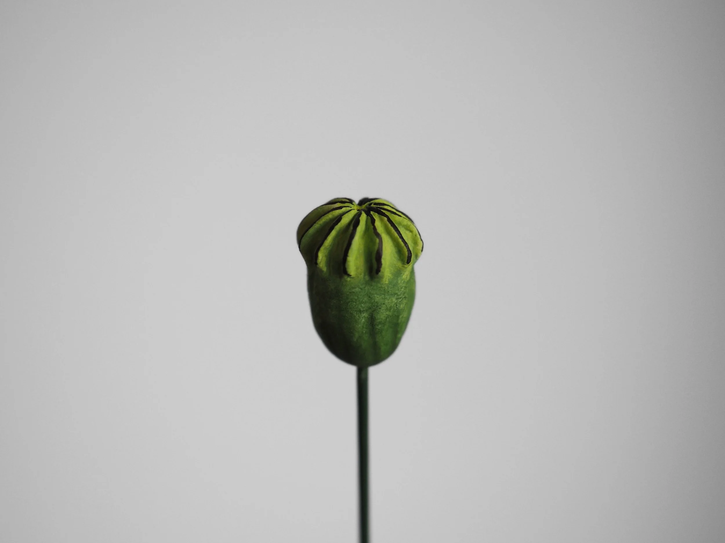 P1160666 - Edited.jpg