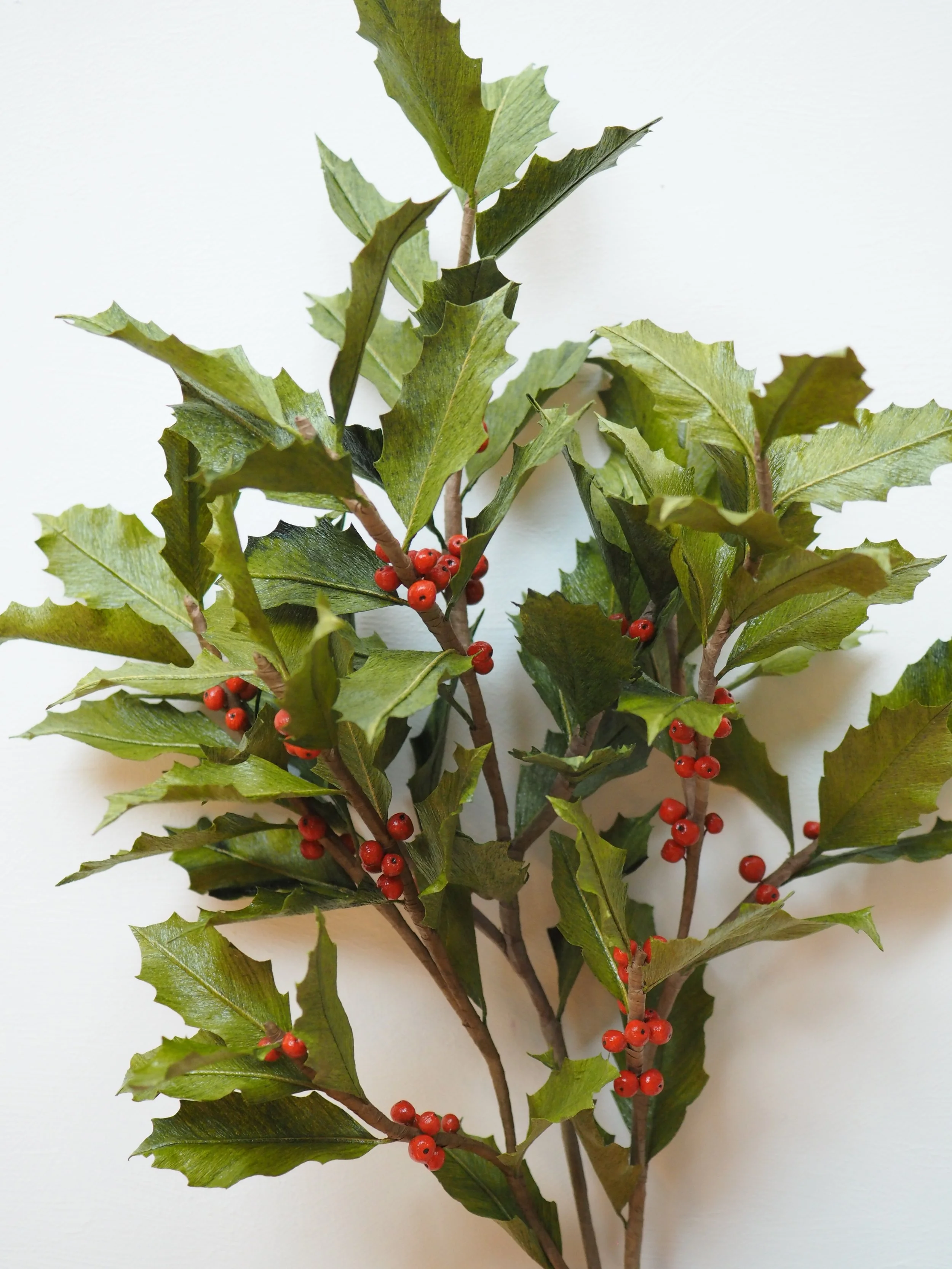A sprig of holly with green spiky leaves and red berries
