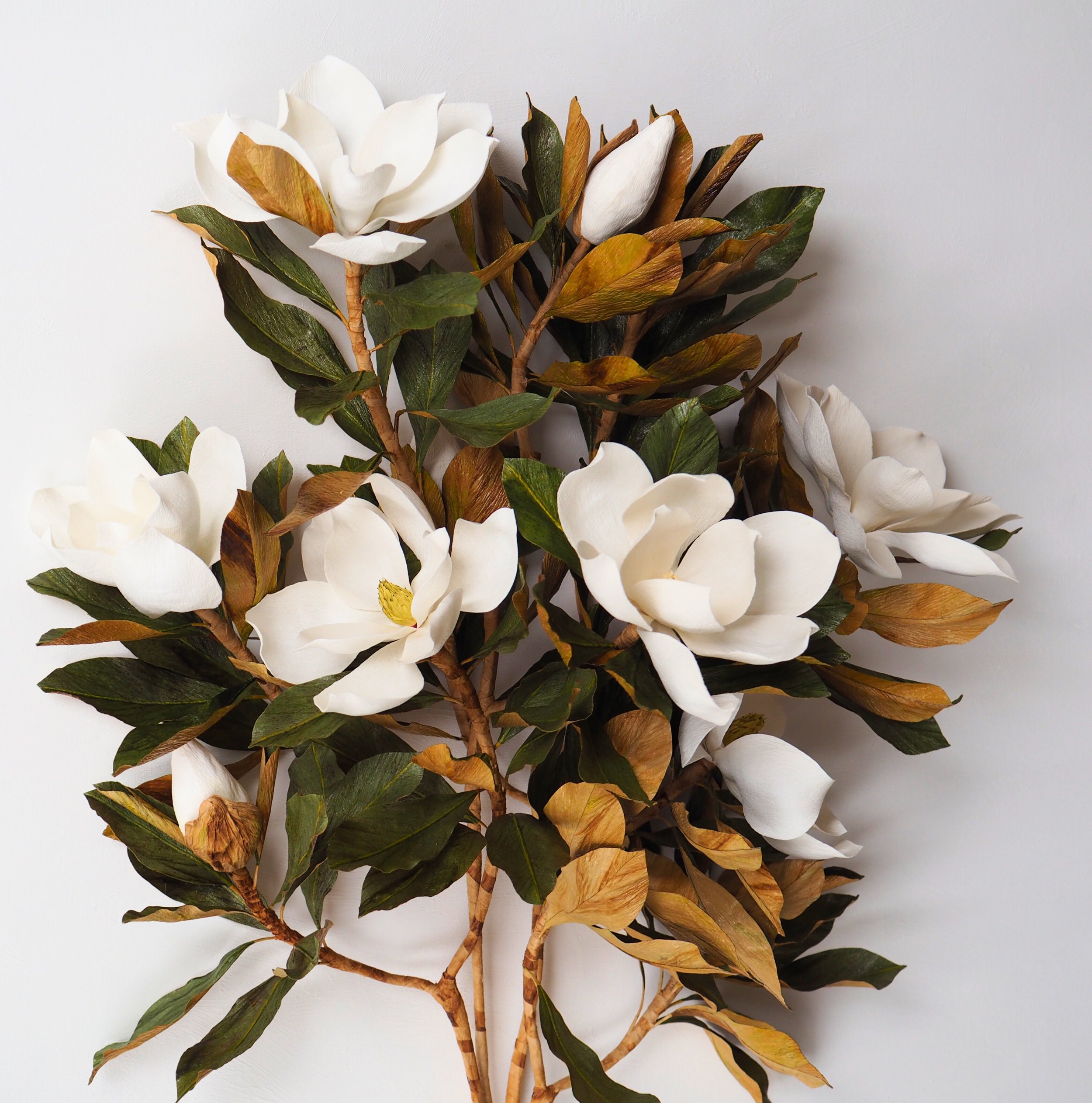 magnolia 1.jpg