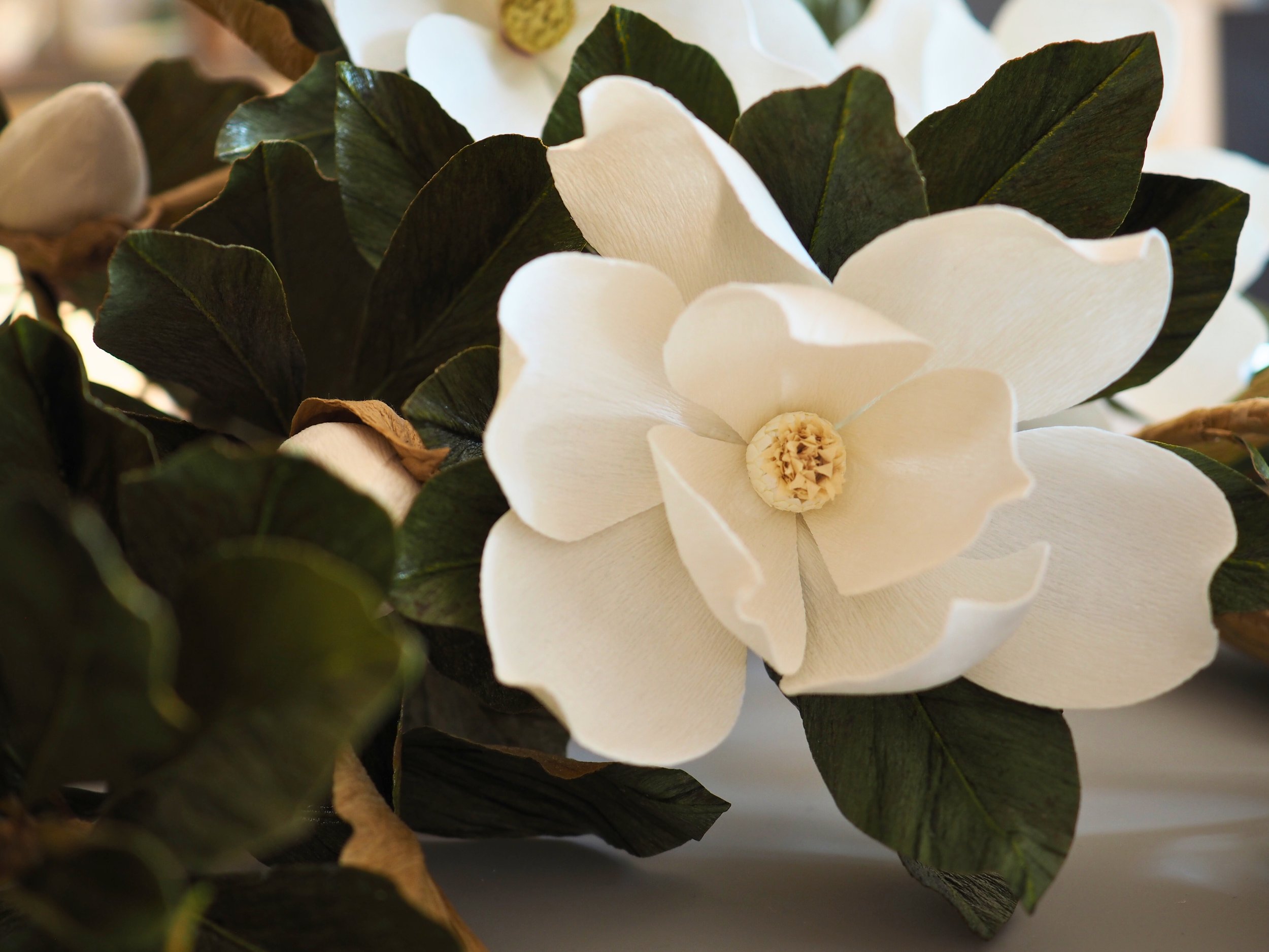 magnolia 15.jpg