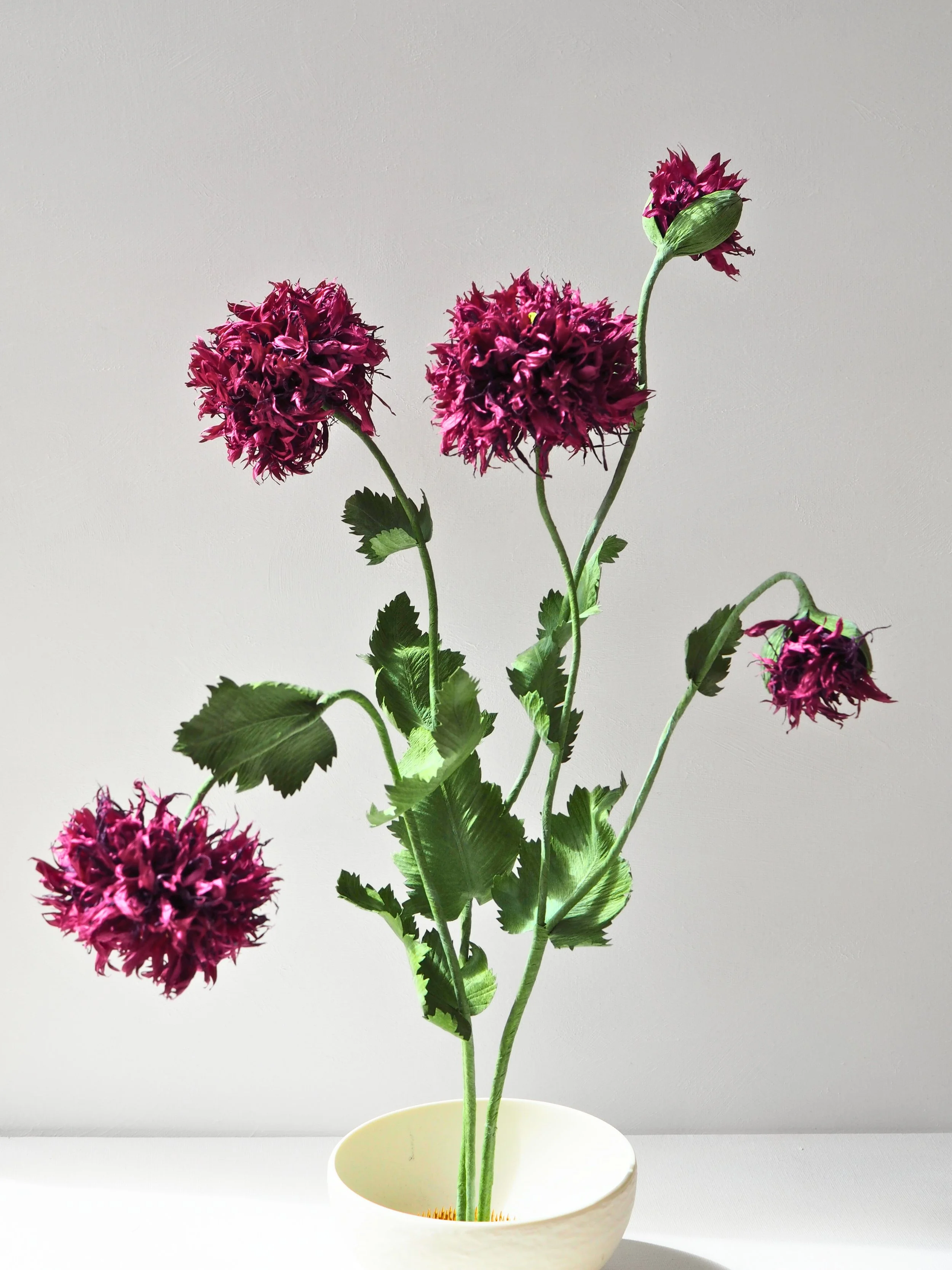 Purple and magenta fringed flowers in a white ceramic bowl against a plain light background.