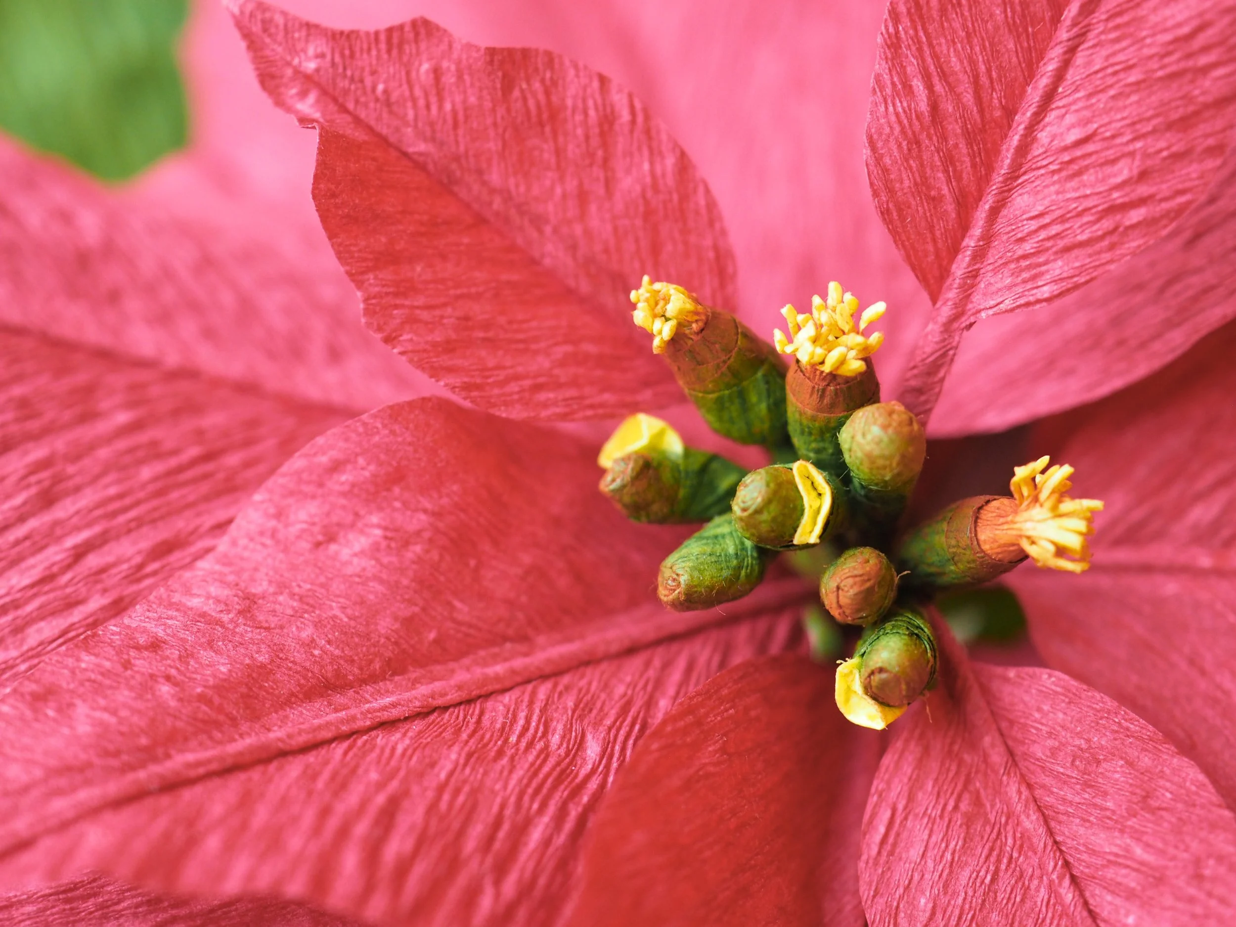 PC040369 - Edited.jpg