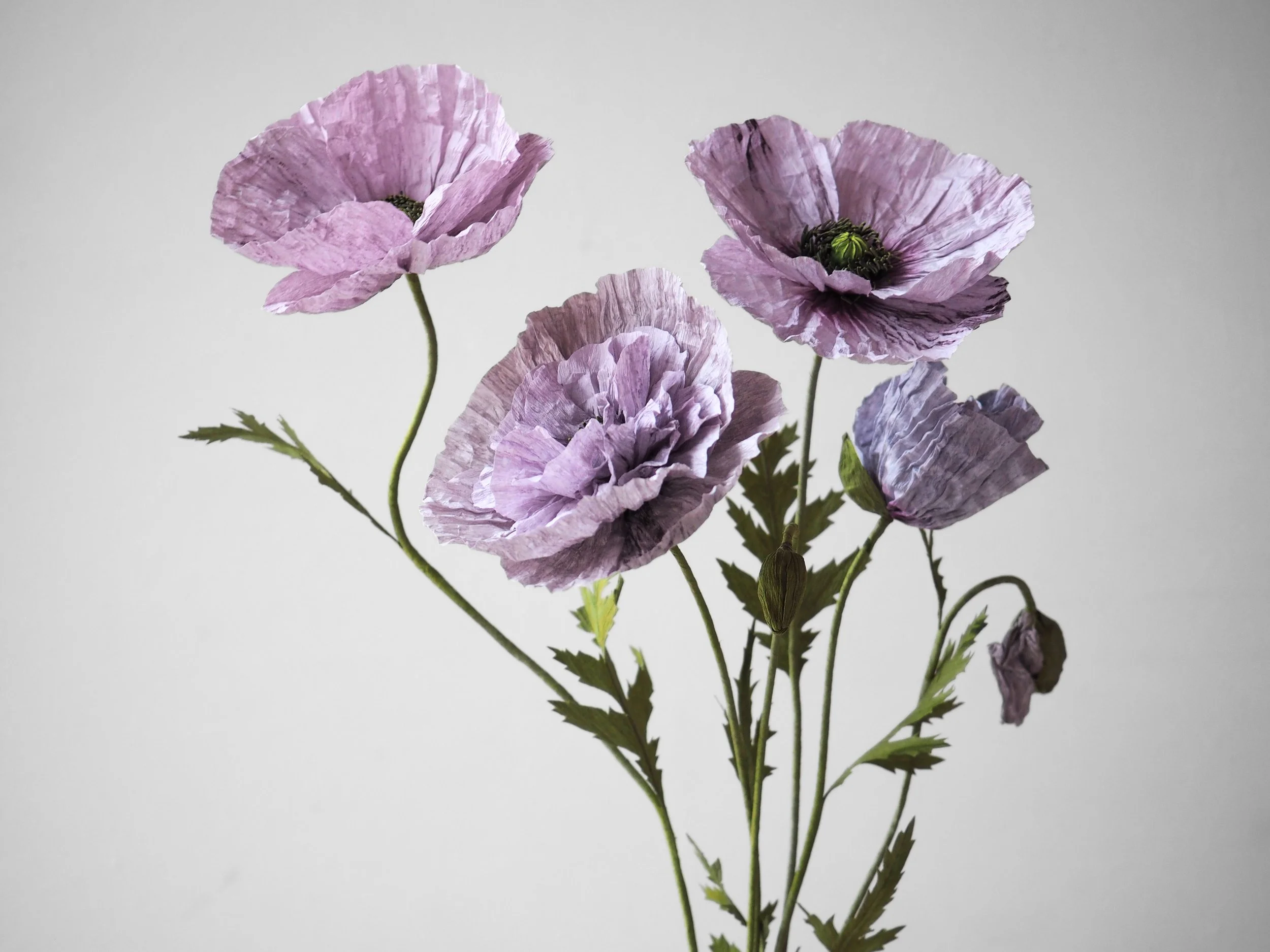 P1230685 - Edited.jpg