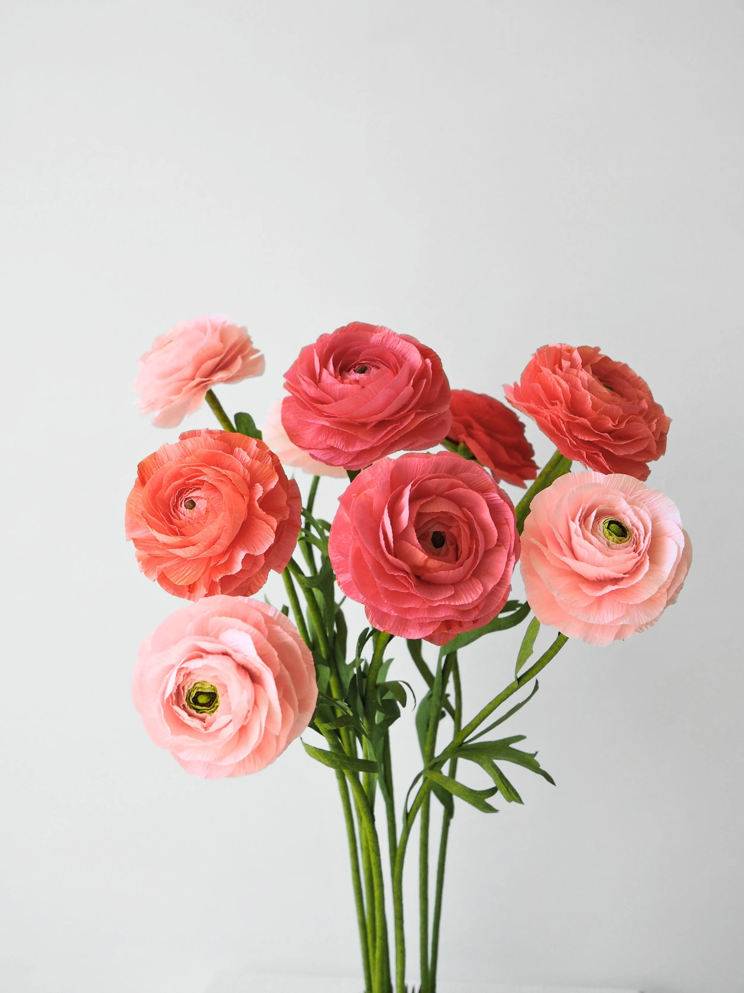 A white ceramic pitcher with a handle holding a bouquet of pink, red, purple, and white ranunculus flowers on a white surface against a white background.