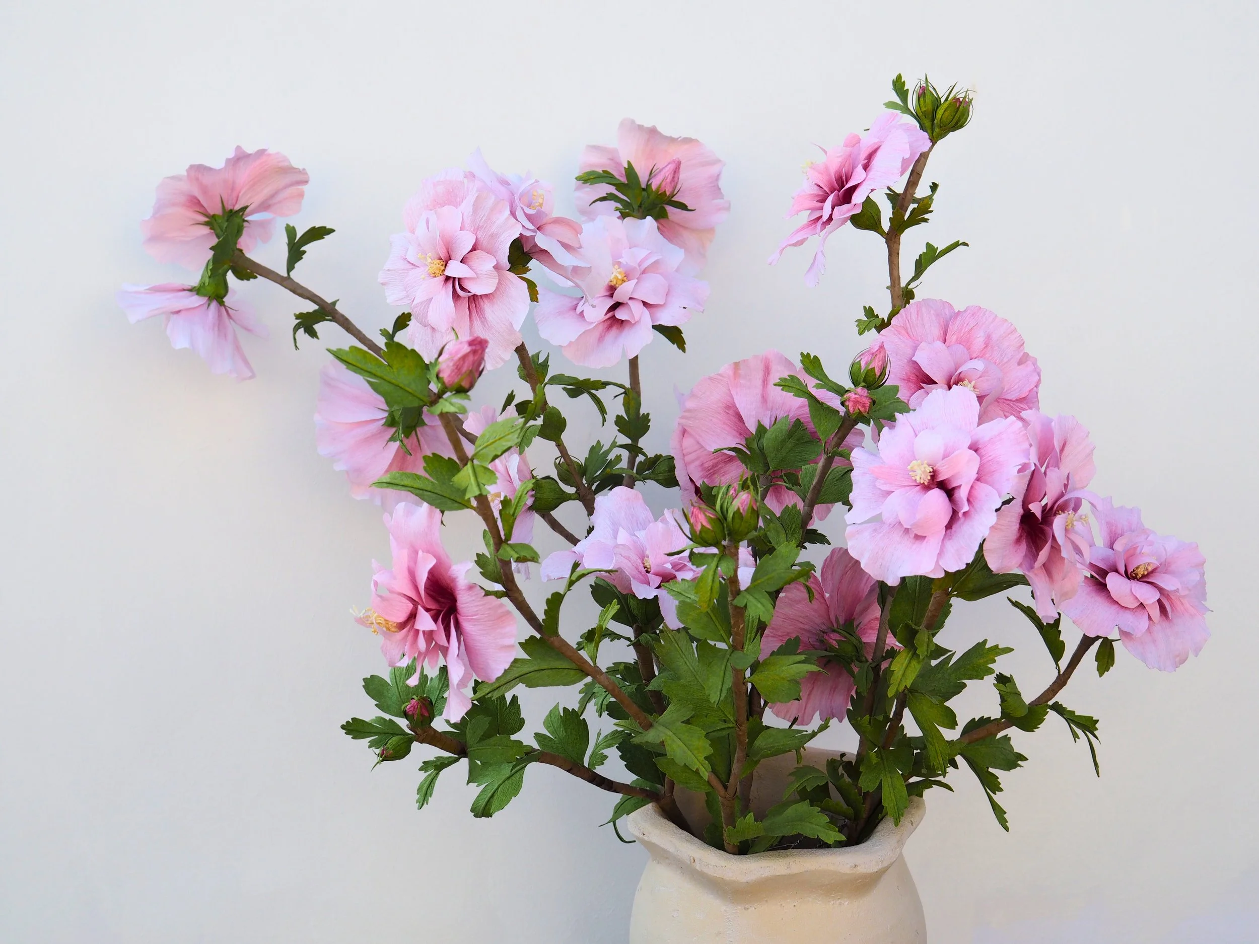 Paper Pink chiffon hibiscus flowers in a white pot against a plain white background.