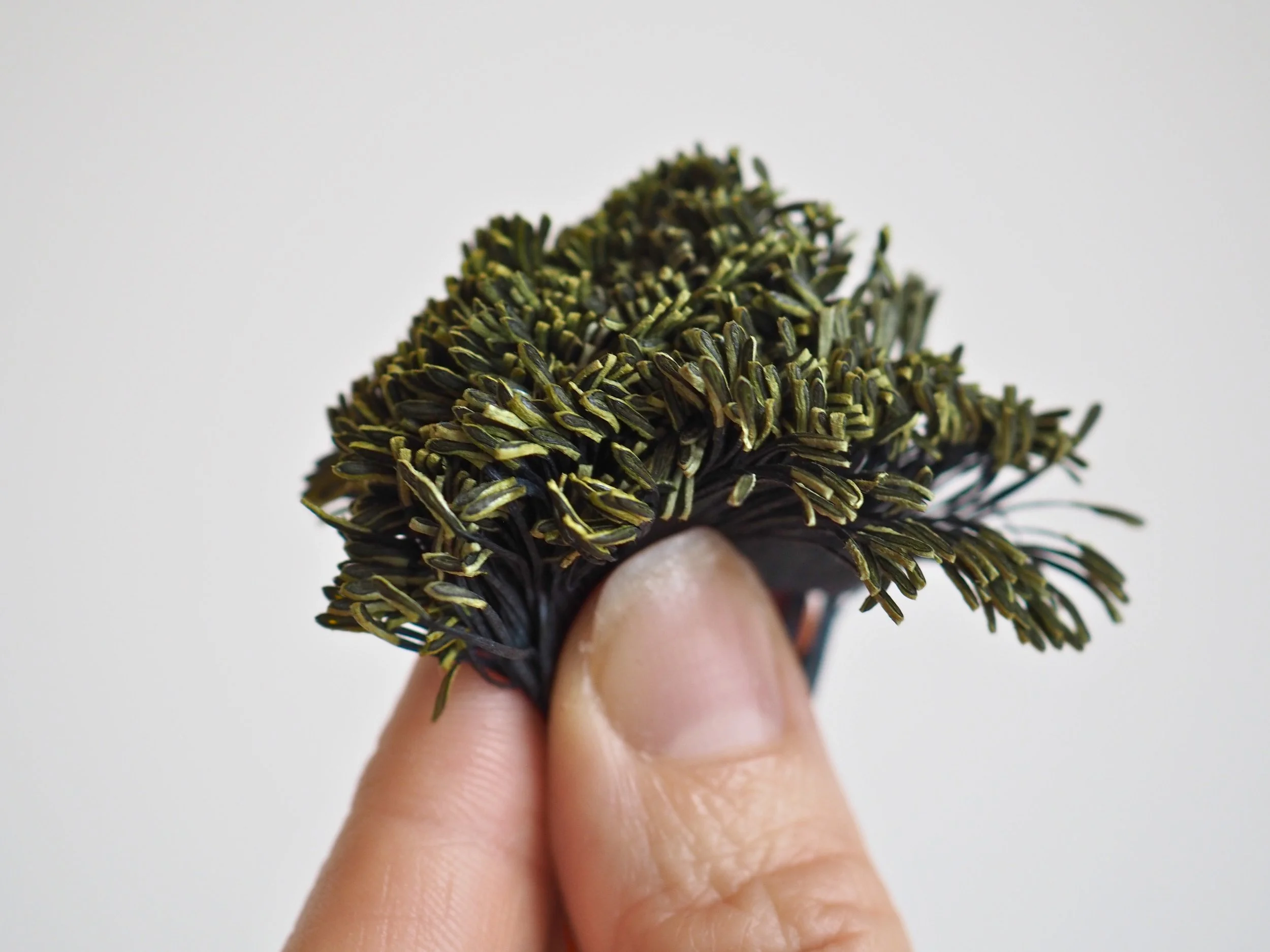 P1160678 - Edited (1).jpg