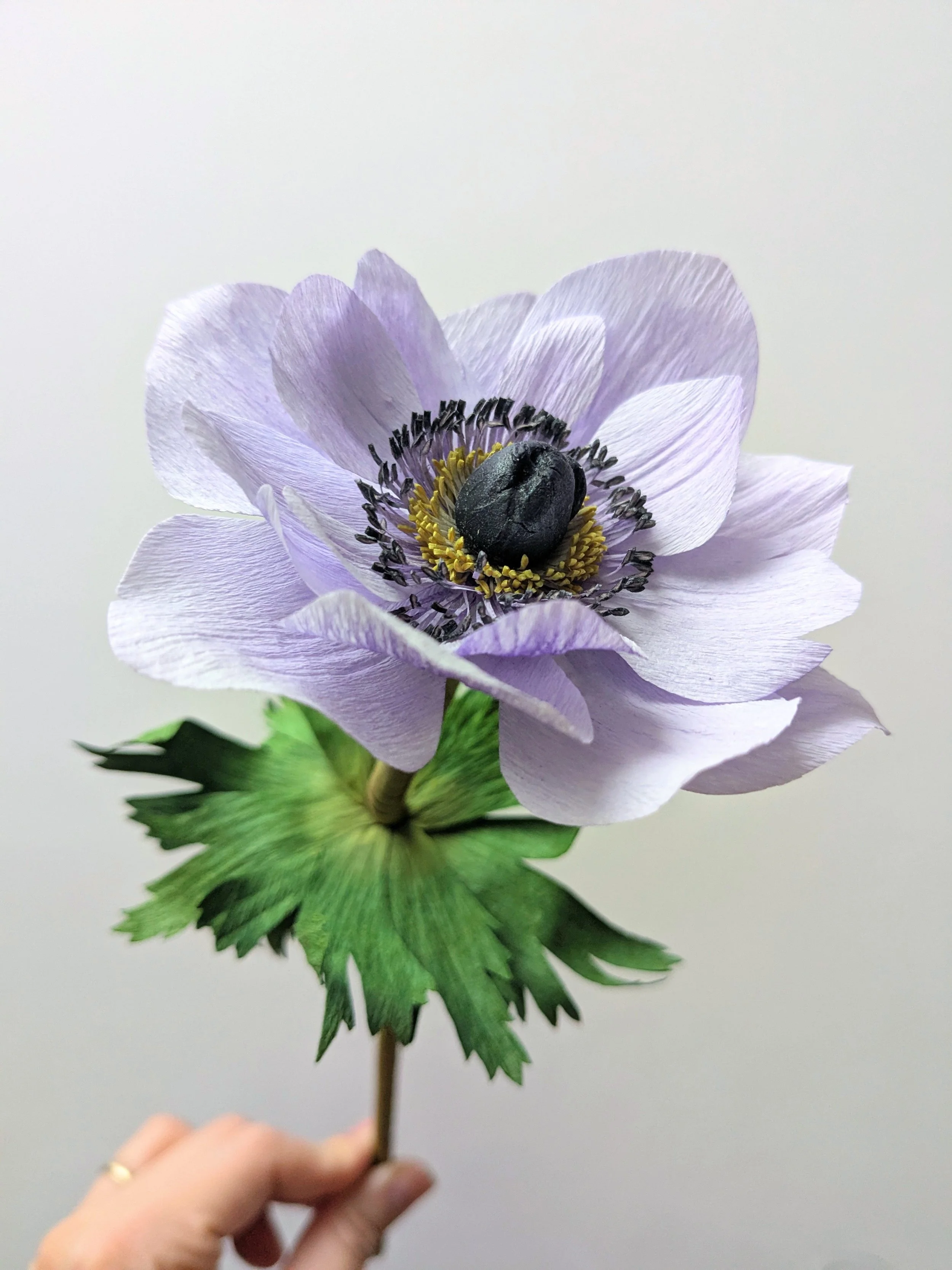 A light purple Anemone flower held by a person's hand against a plain gray background.