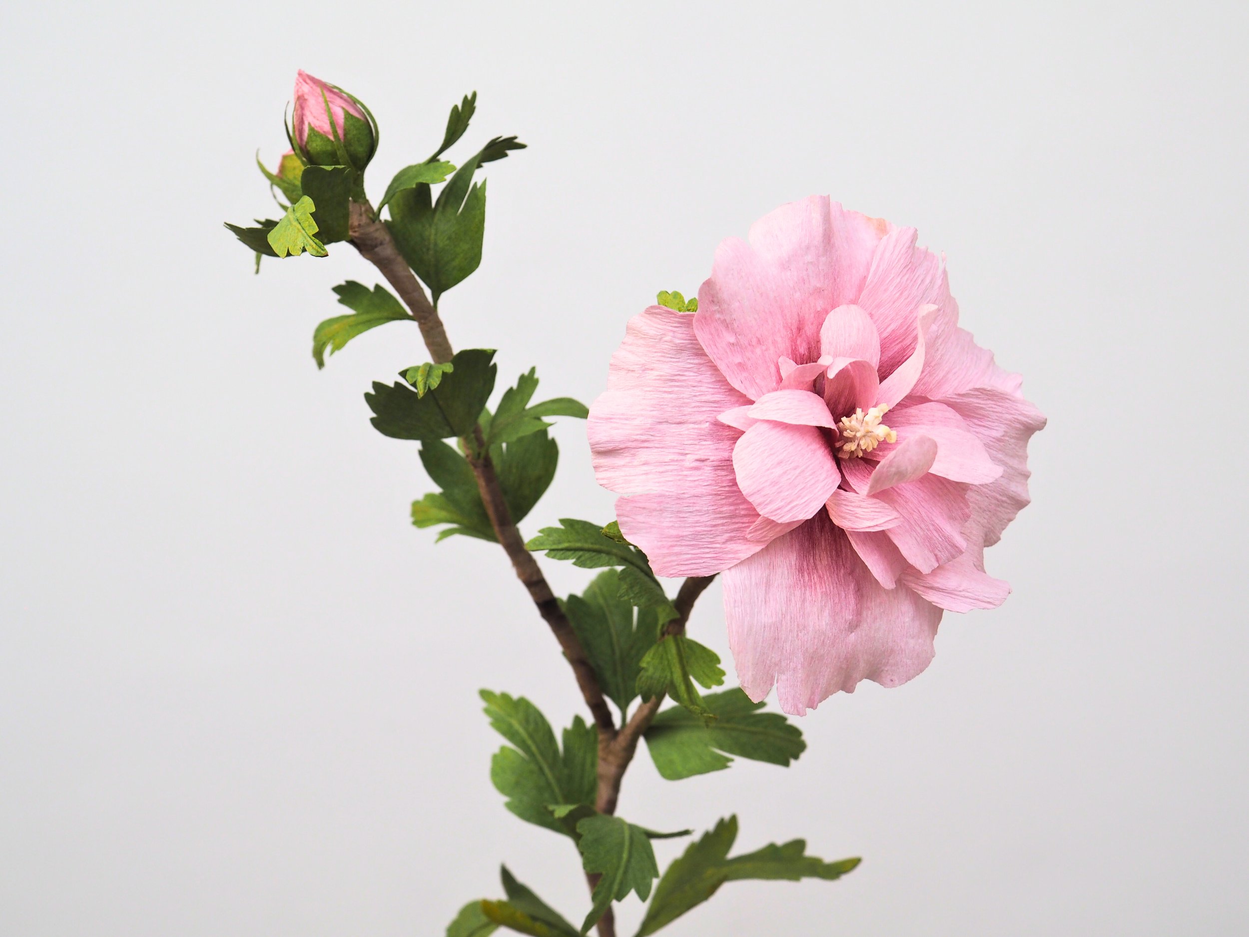 a12715d1-628e-4252-8d2a-f42fe31df1d4.jpg