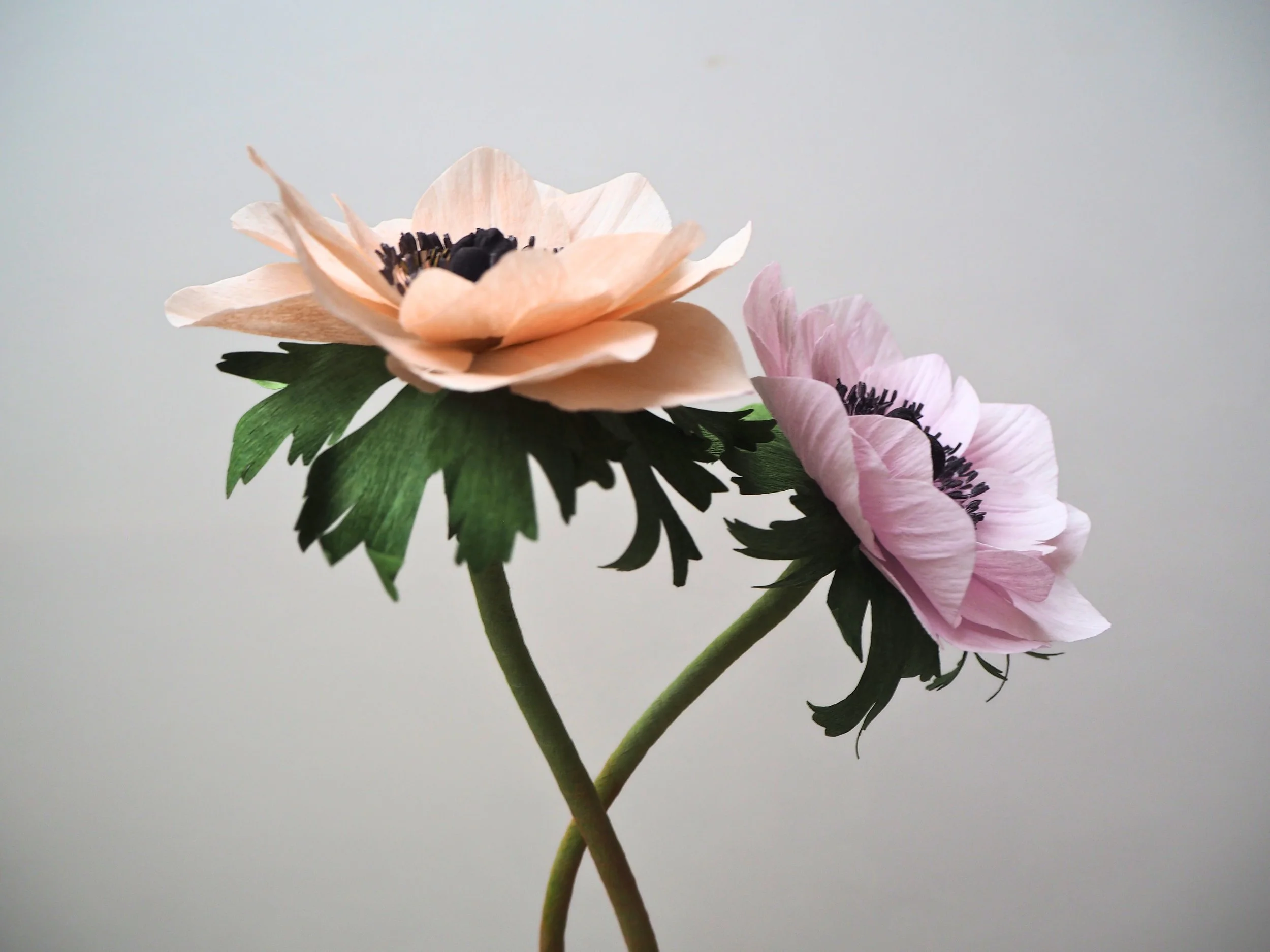 Two paper flowers, one peach and one pink, with black centers and green leaves, against a plain white background.