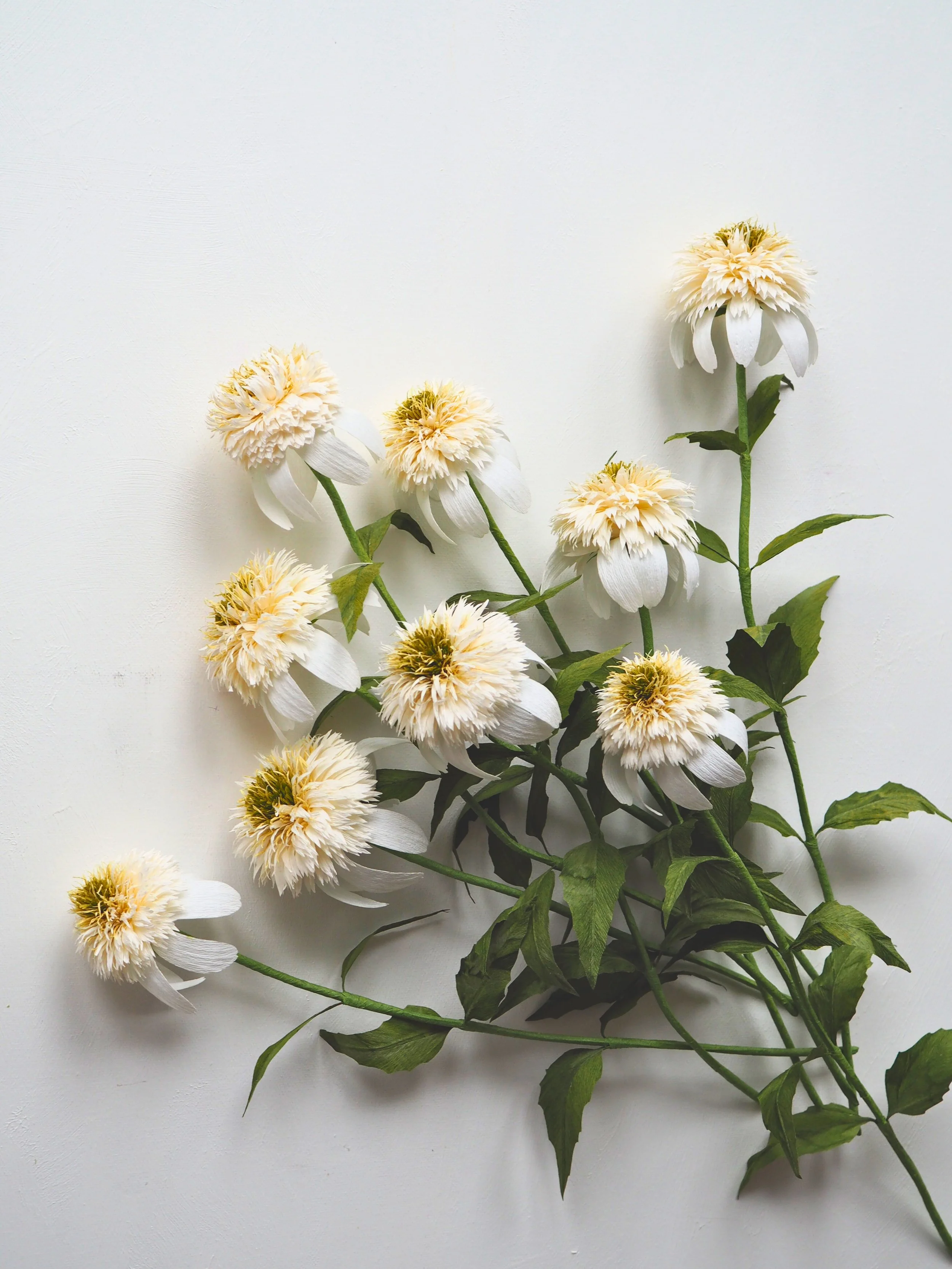 A bouquet of white and cream-colored flowers with green leaves on a white background