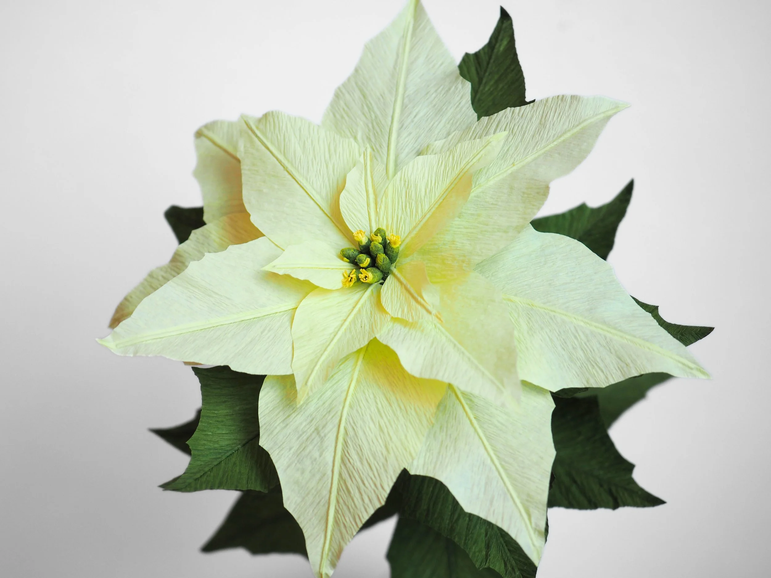 PB220219 - Edited.jpg