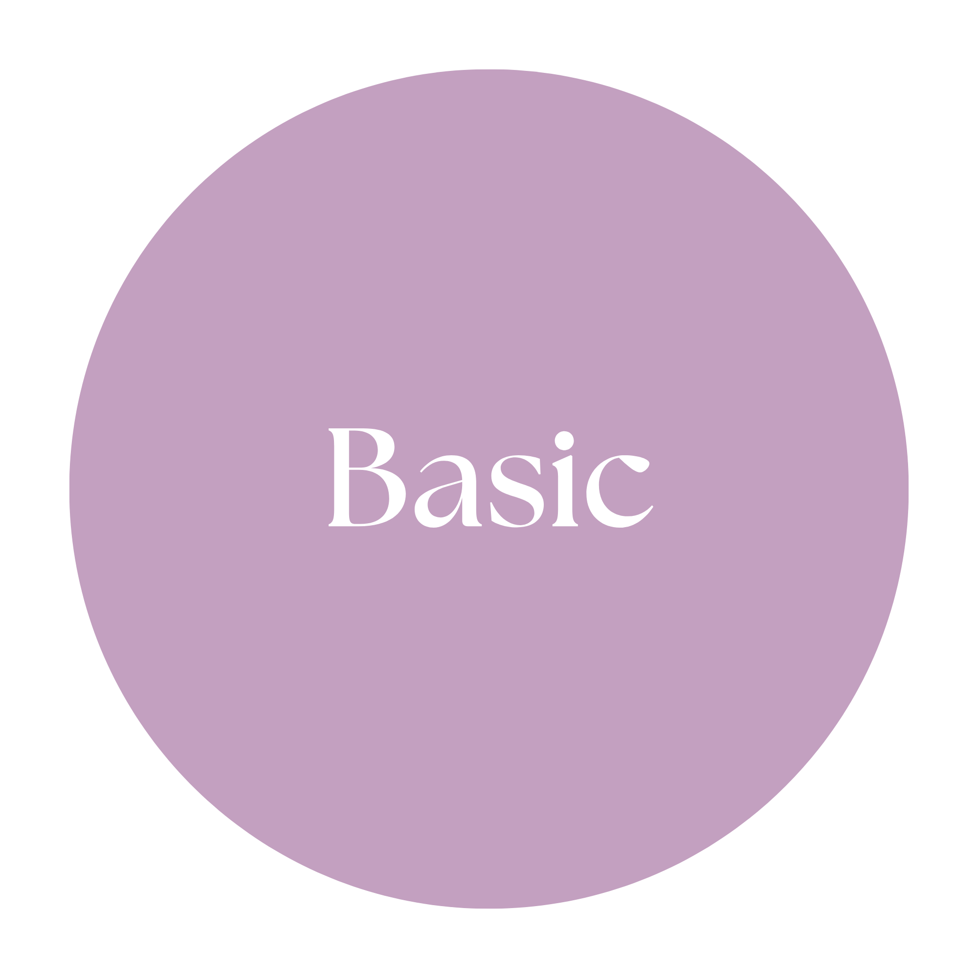 Basic Academy (Start 16.09.2026)