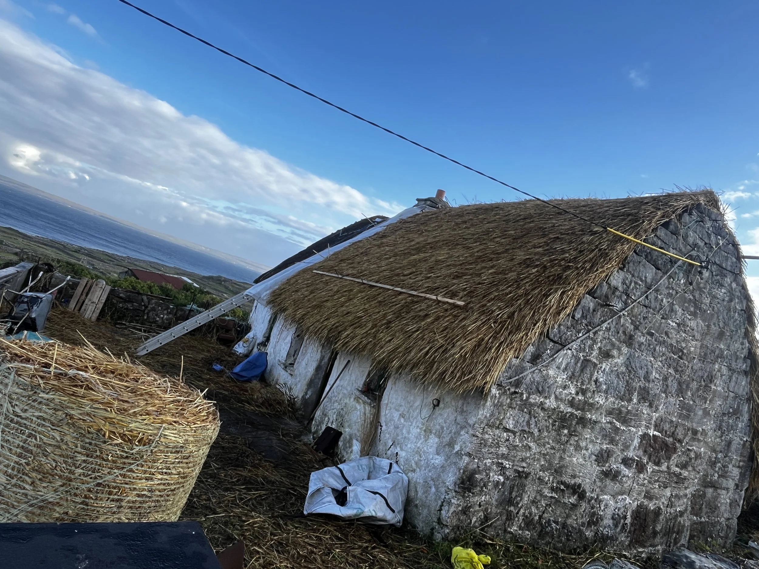 Cottage renovation which gave me access to real thatch materials used in the artwork