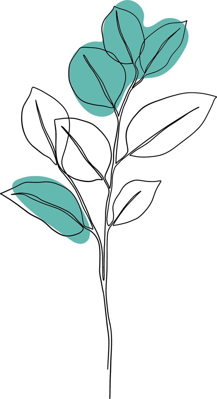 Symbol für naturverbundenes Coaching