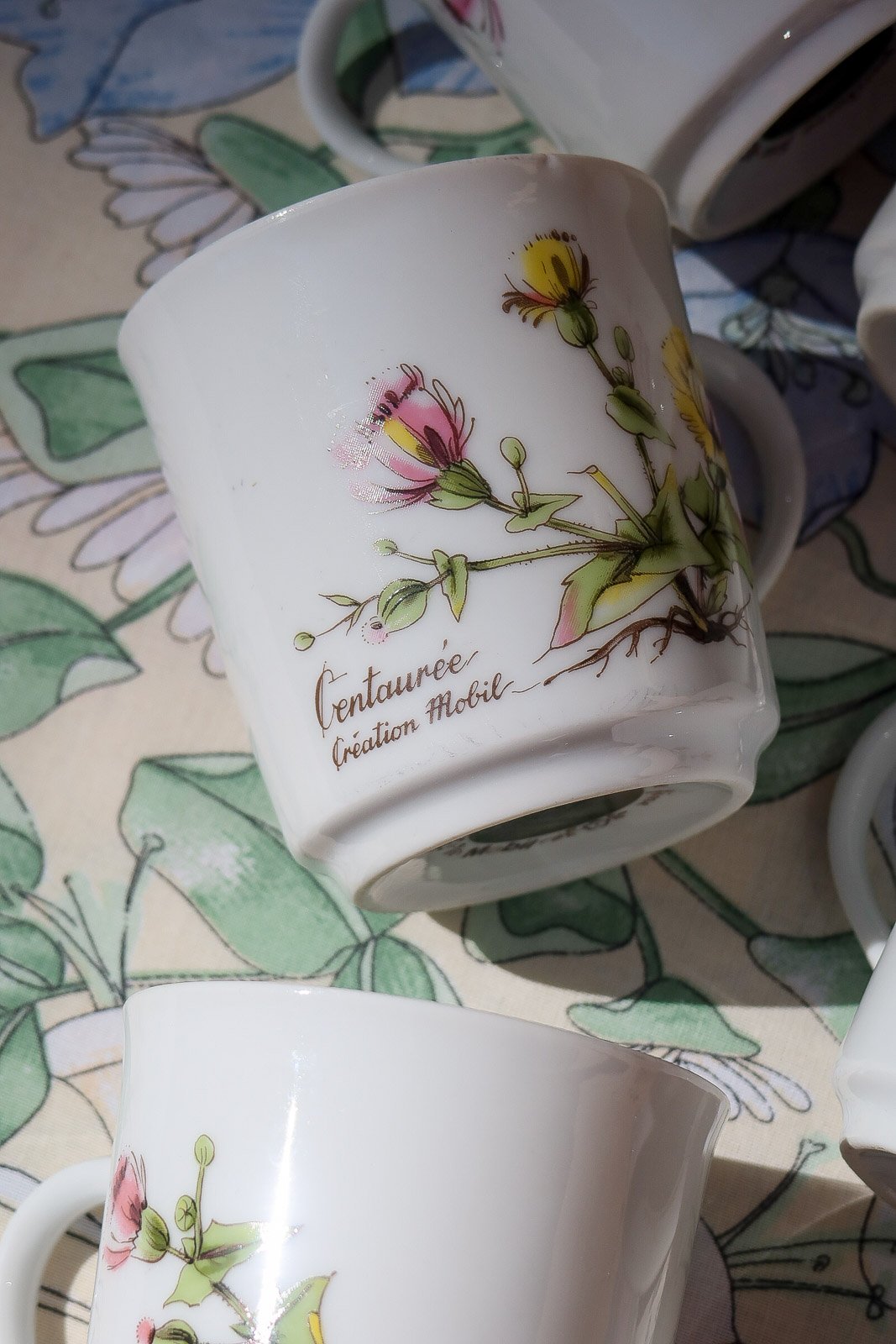 CAPUCINE - 6 tasses à café herbier vintage - La Bibeloteuse Brocante en ligne 3.jpg