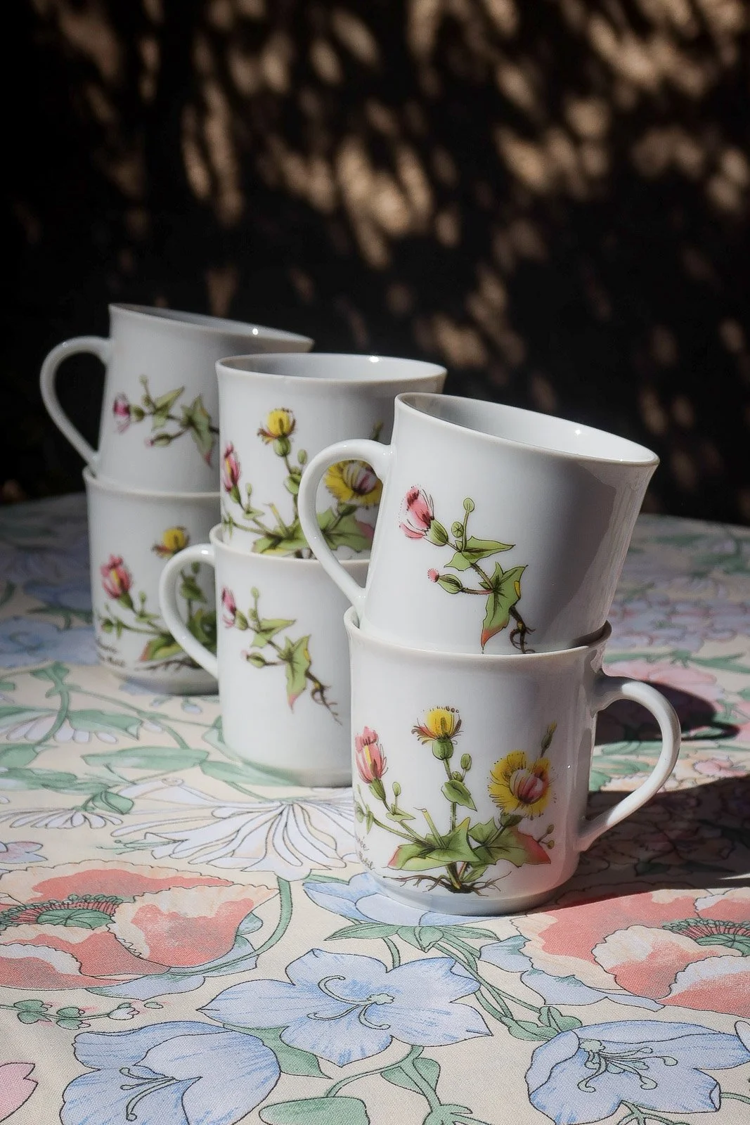 CAPUCINE - 6 tasses à café herbier vintage - La Bibeloteuse Brocante en ligne 2.jpg