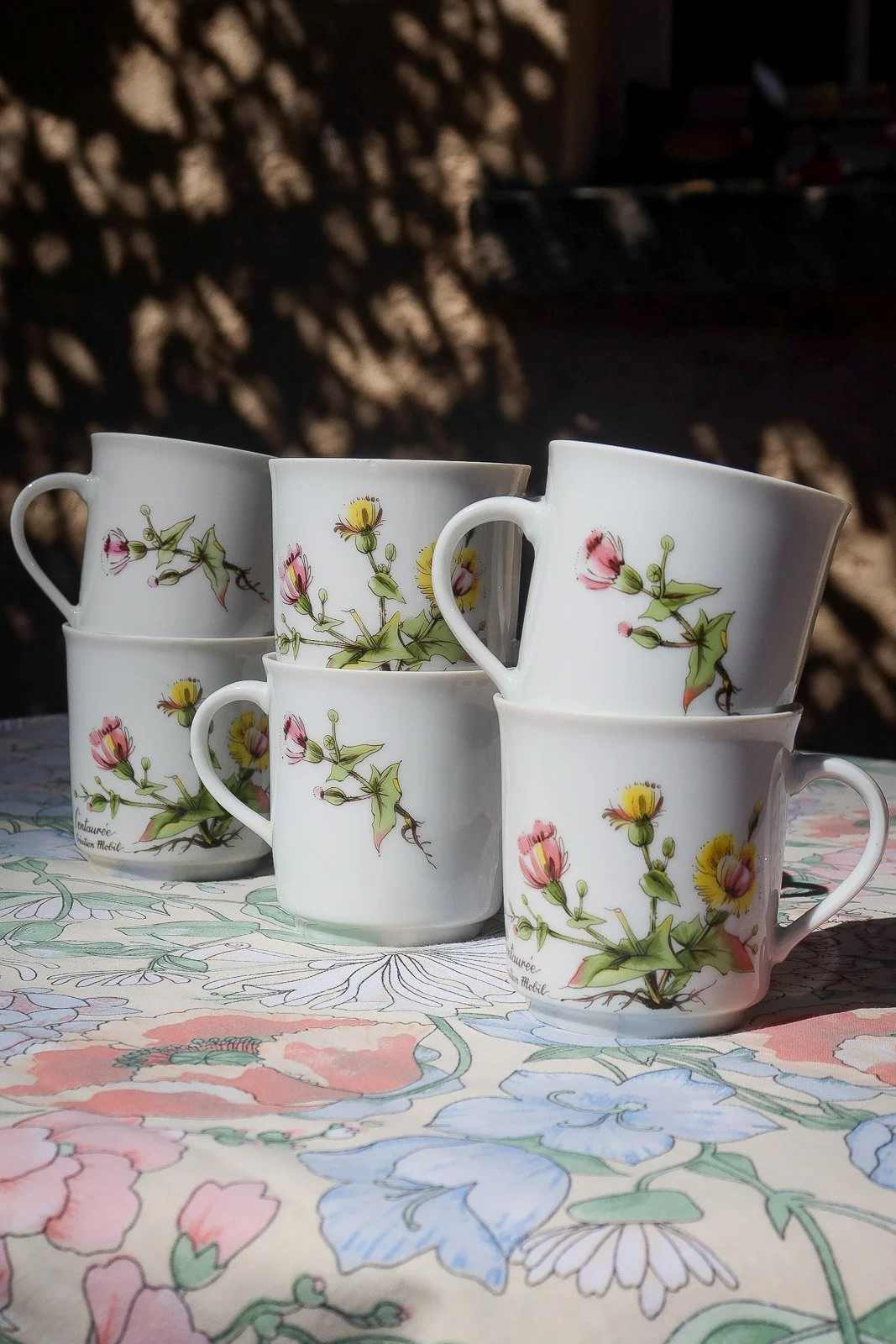 CAPUCINE - 6 tasses à café herbier vintage - La Bibeloteuse Brocante en ligne 1.jpg