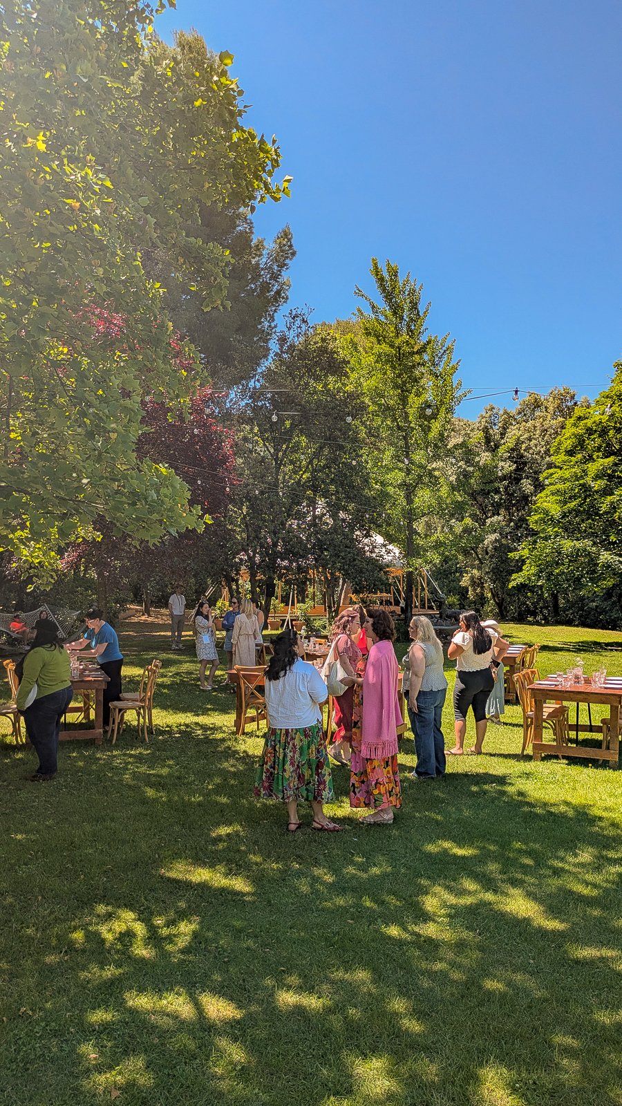 déjeuner provençal - LA BIBELOTEUSE 2.jpg