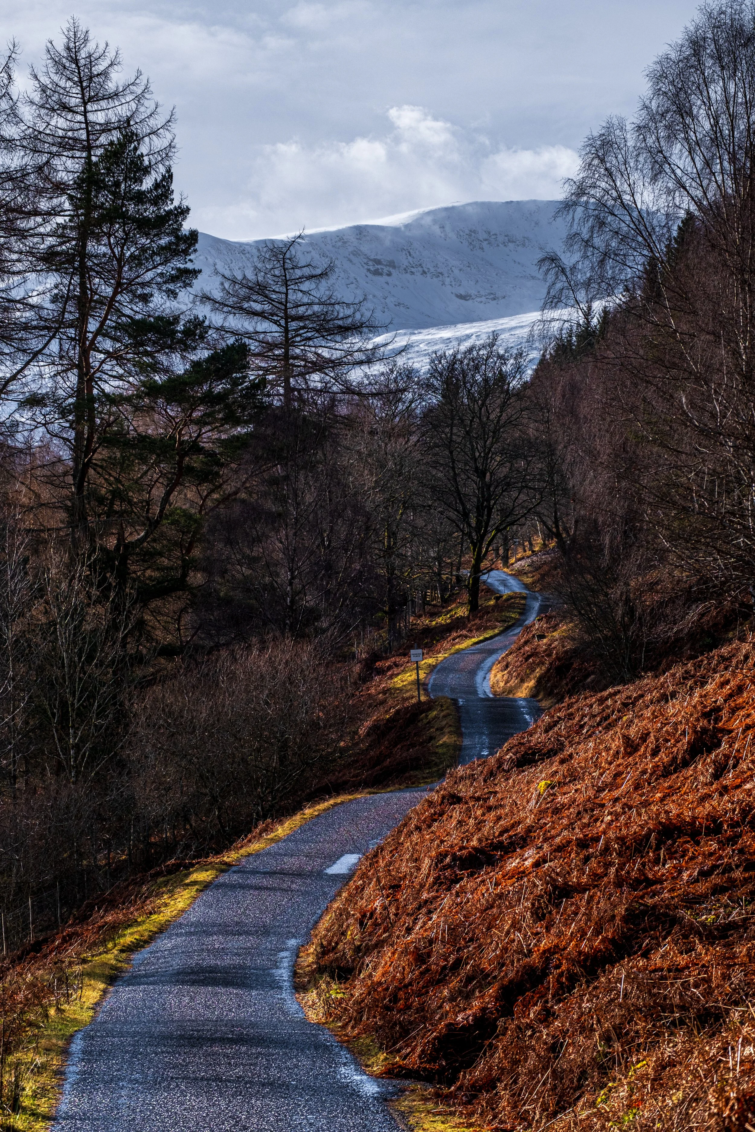 DSCF1701 2.jpg