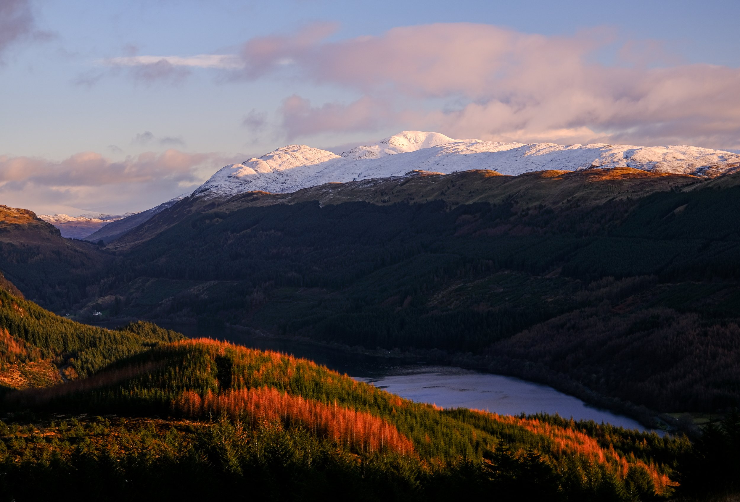 2023-01-15 09-10-03.jpg