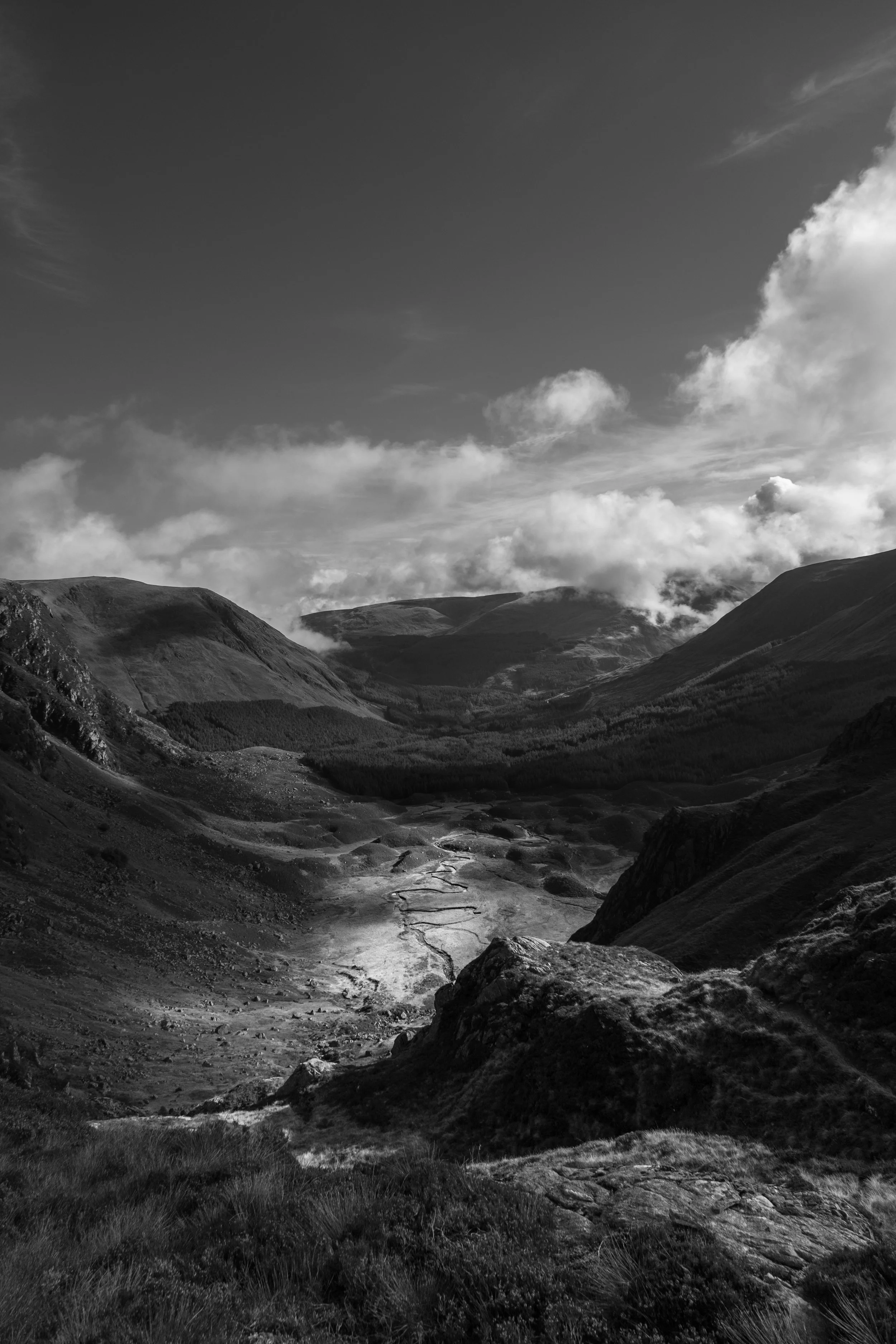 Corrie Fee