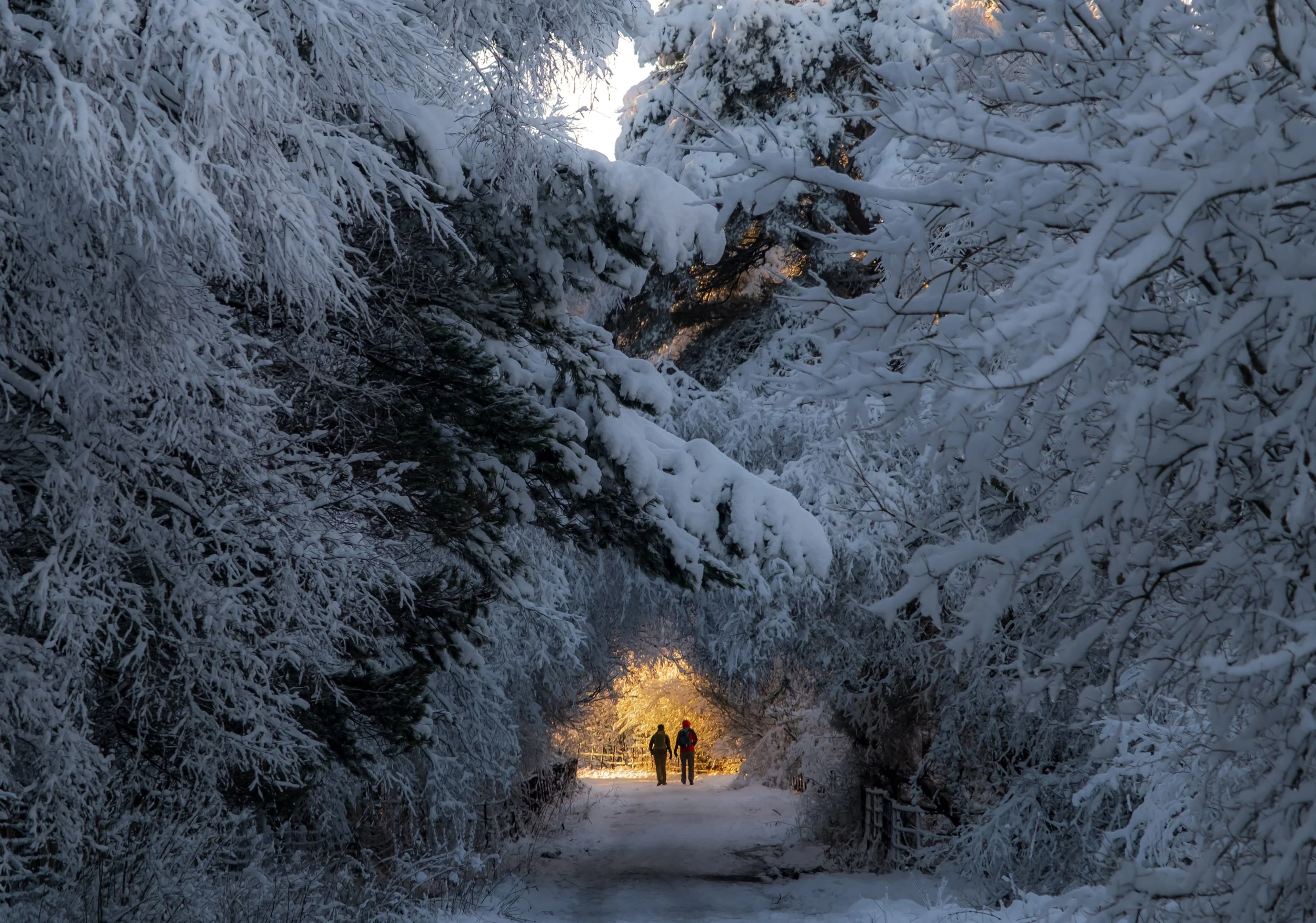 Into the fire, Pentland Hills