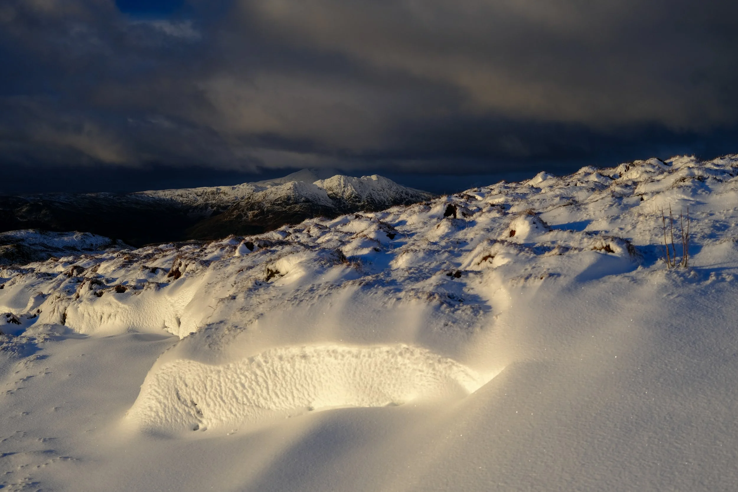 2023-01-15 09-46.jpg