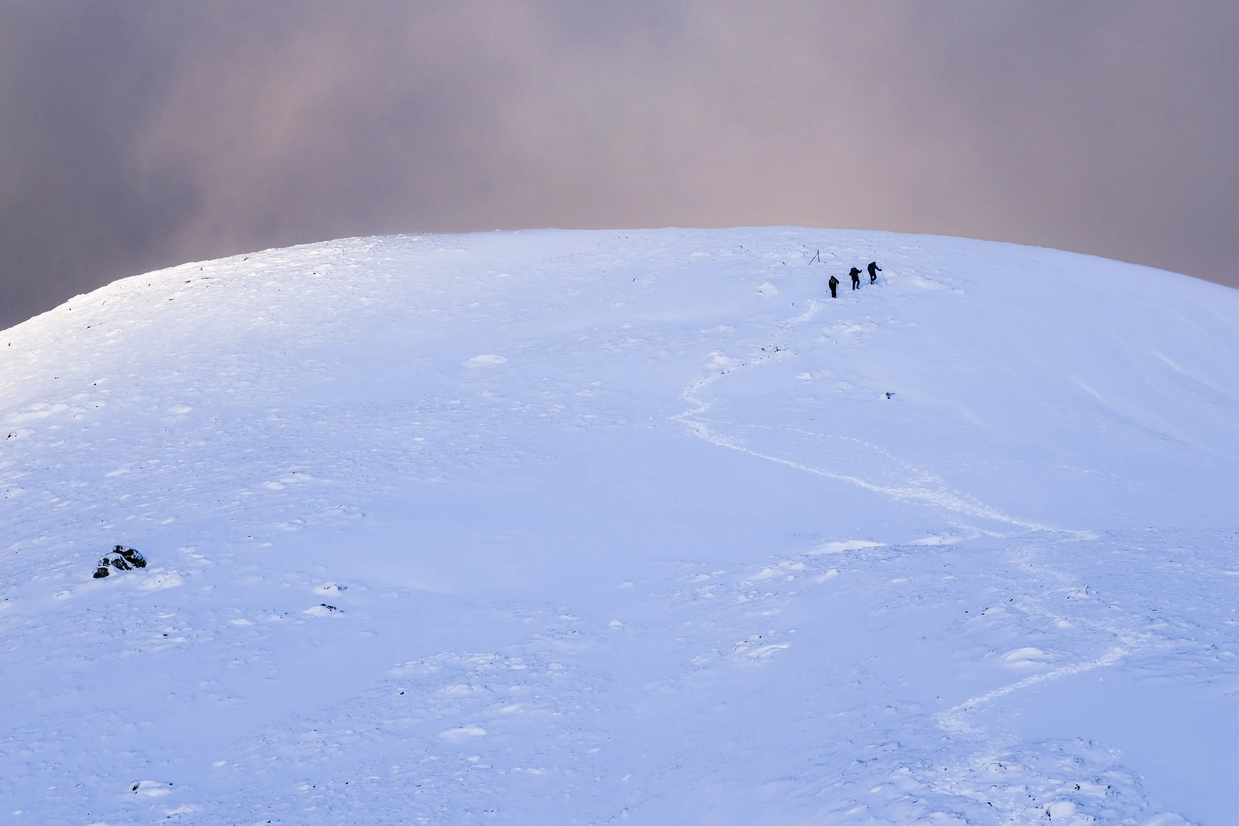 2023-01-15 10-01-05.jpg