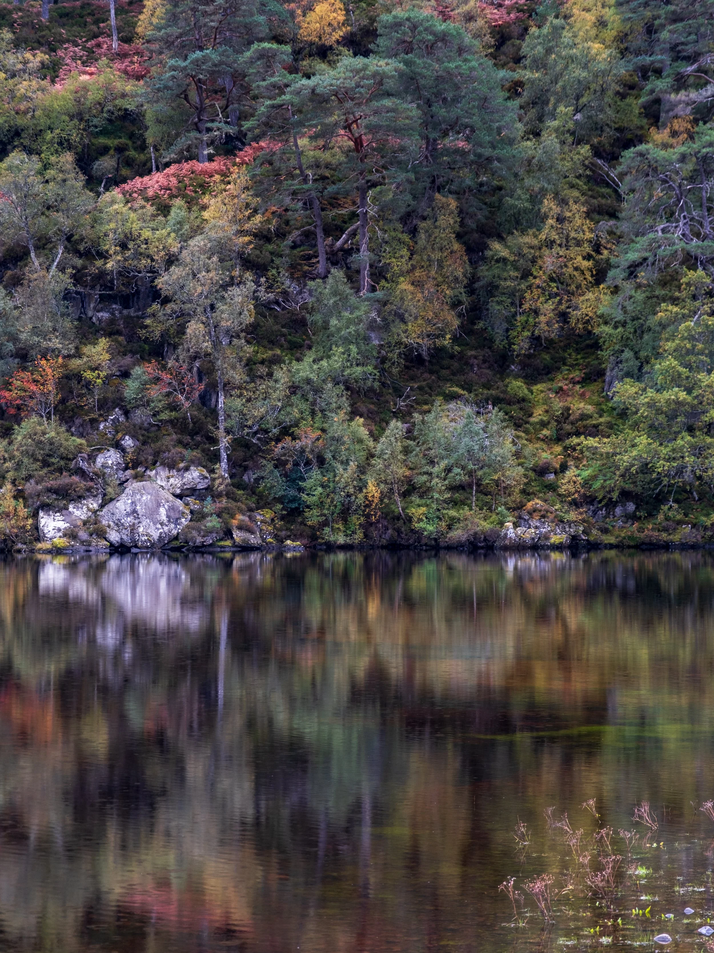 Coille an Ath and Loch Beannacharan