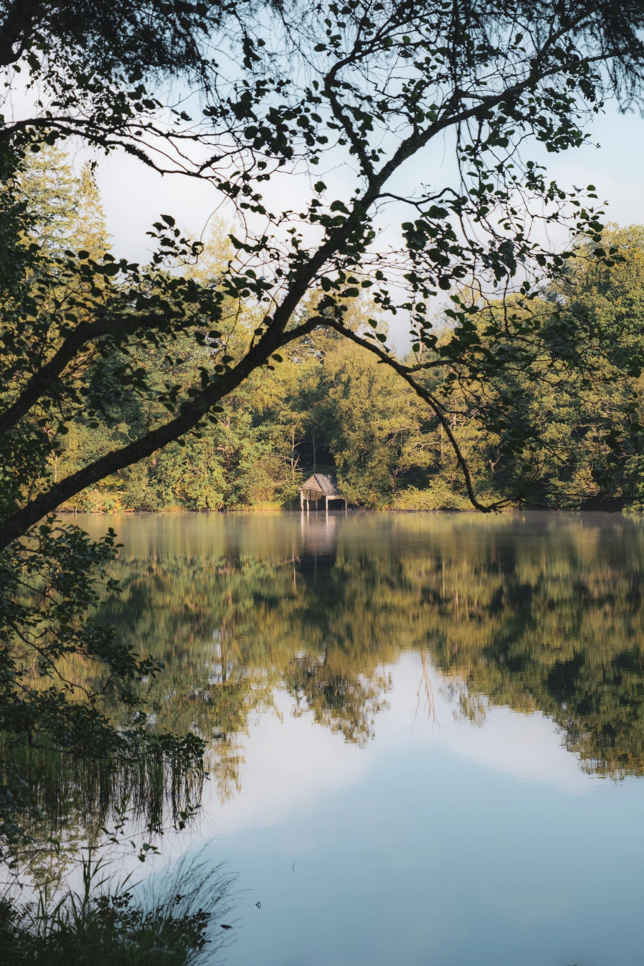 Loch Ard