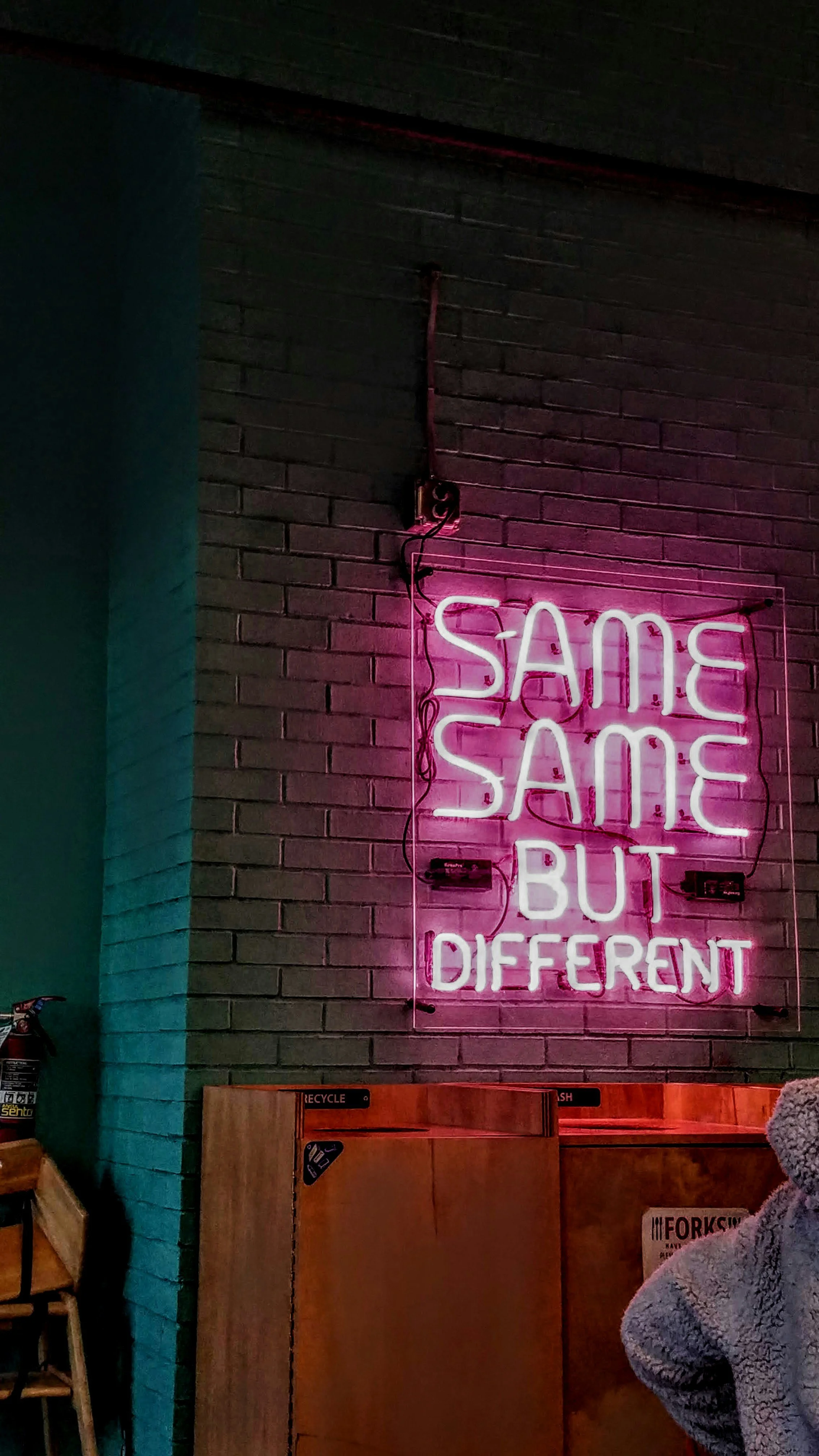 Pink neon sign on a brick wall reads, 'SAME SAME BUT DIFFERENT' in a dimly lit room.
