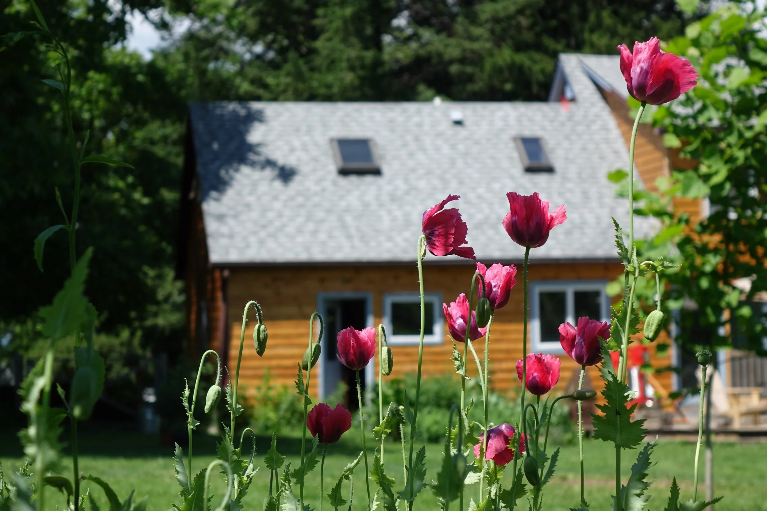 a naturally built home