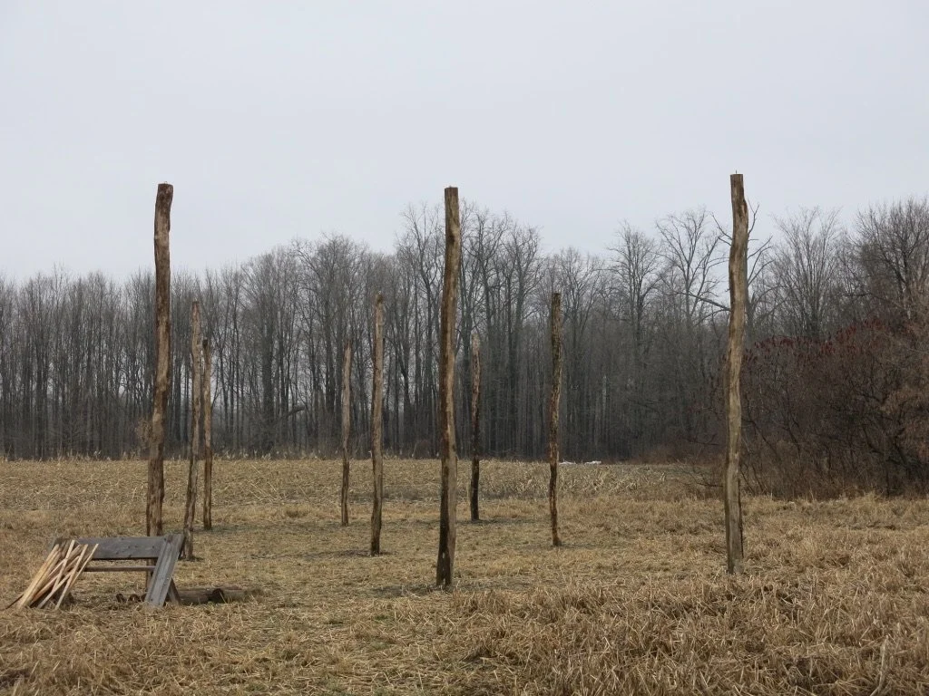 Hop yard under construction made from black locust posts.