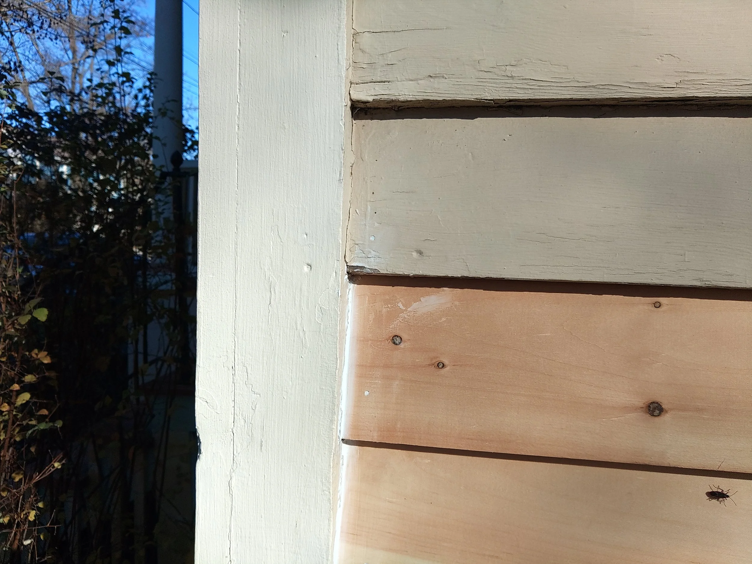 Historic house siding repair.