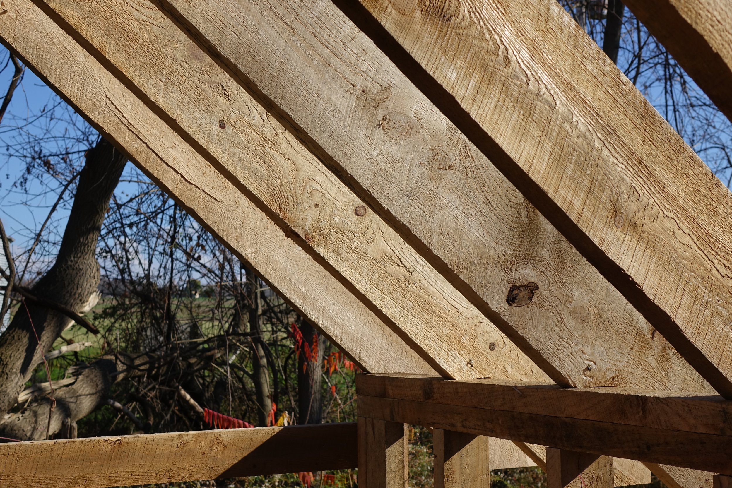 Building frame made from eastern hemlock sourced in the finger lakes region.
