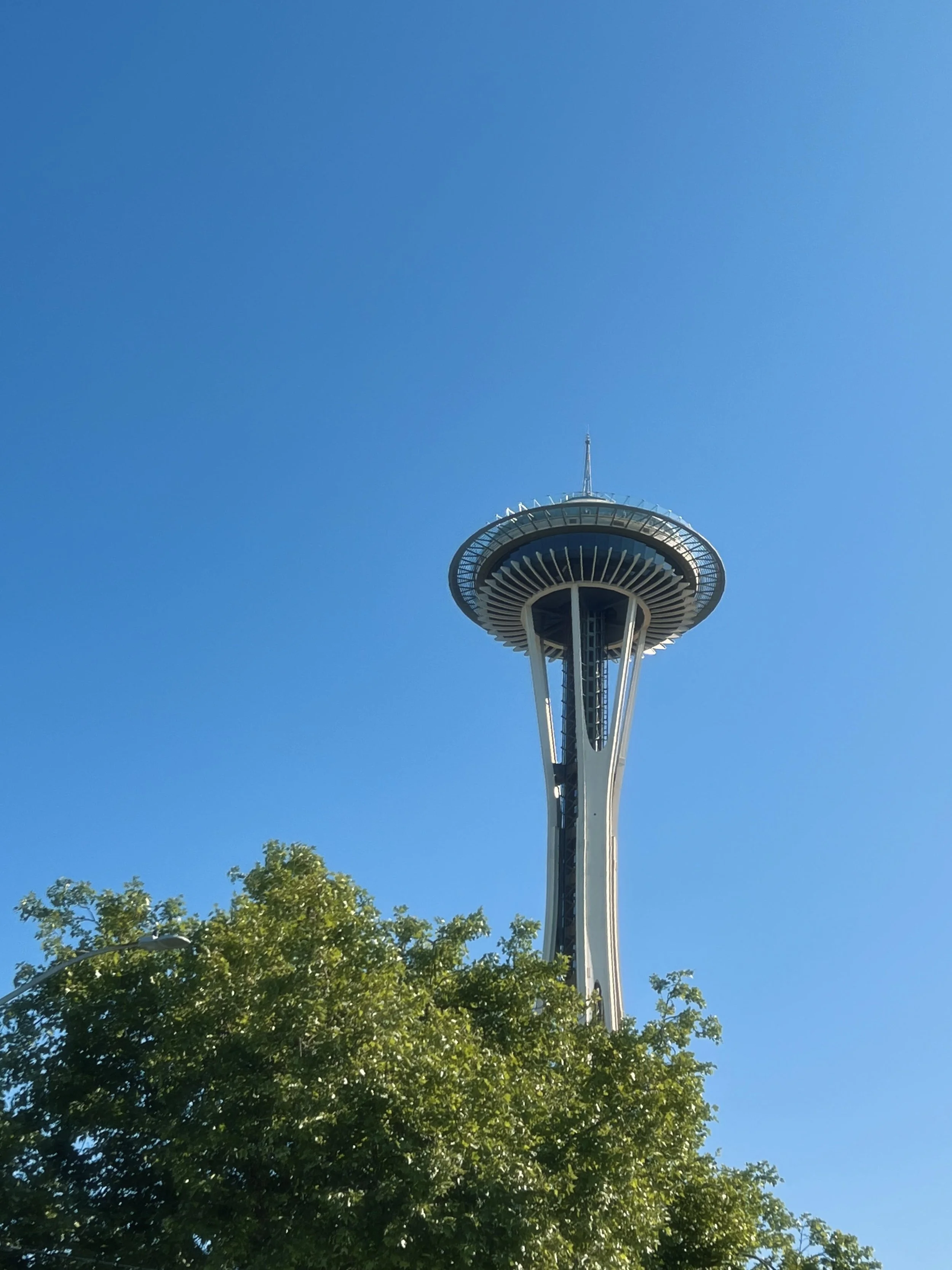 Seattle tower.jpg