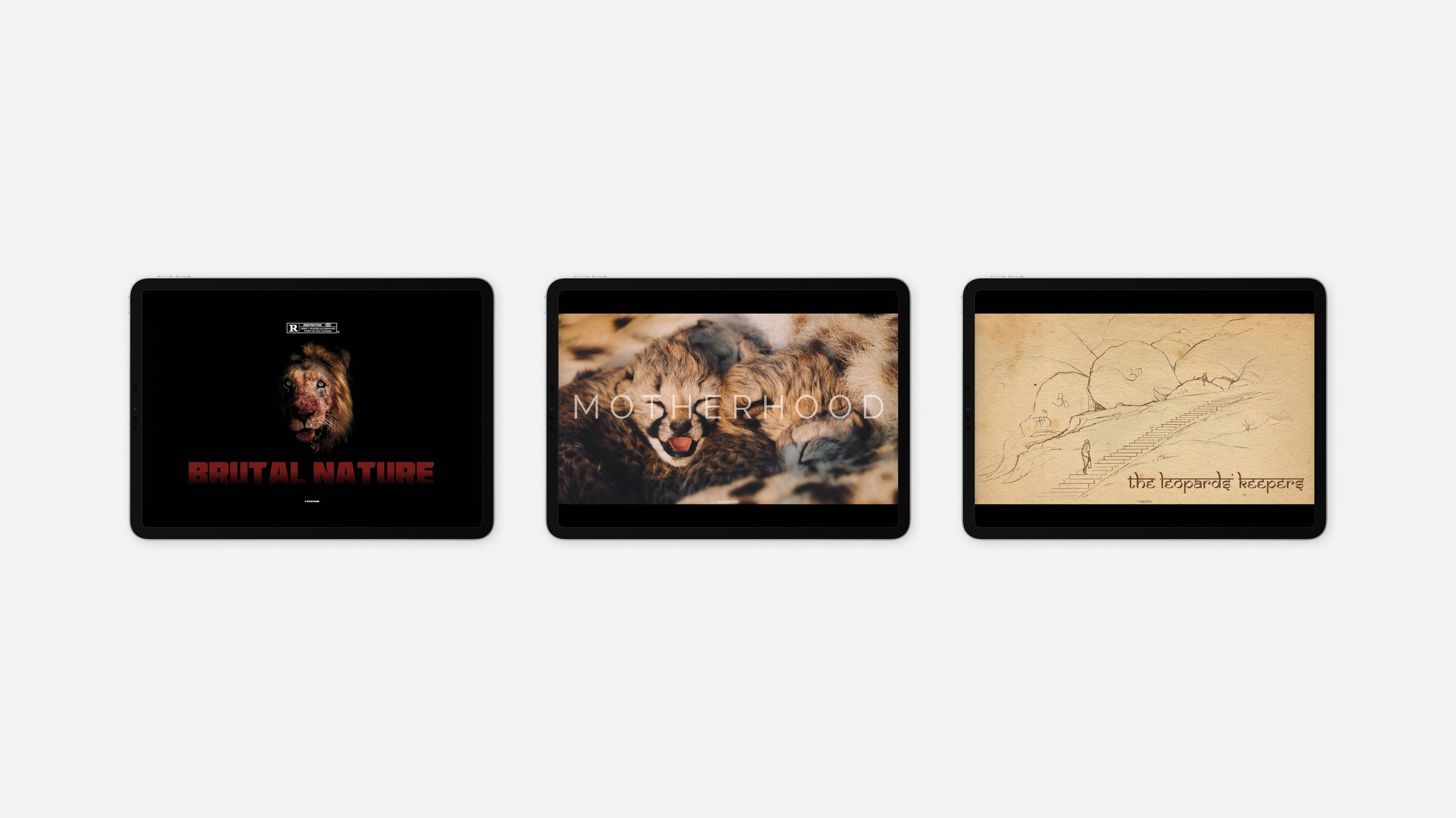 Marketing Collateral