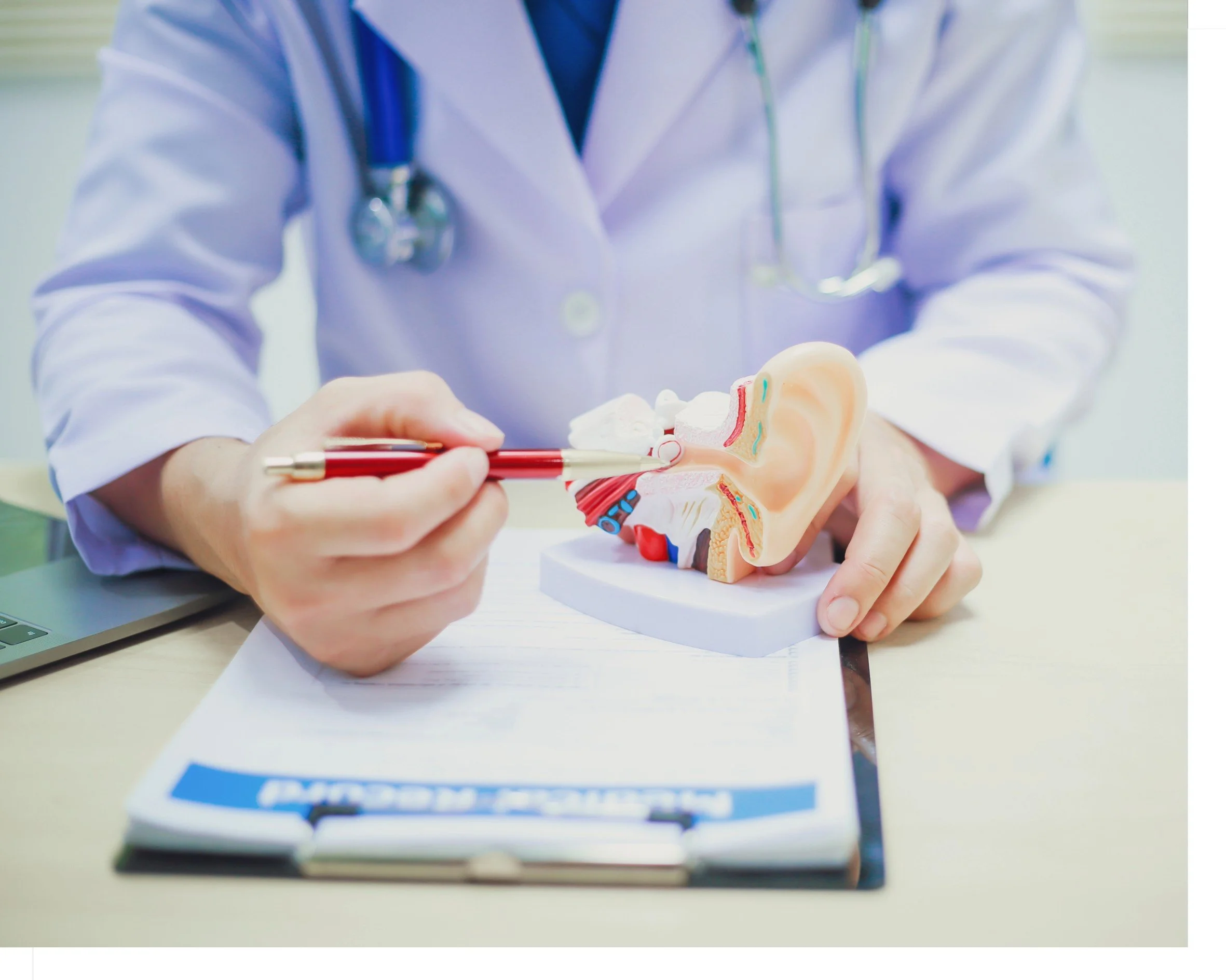 A medical professional in a white coat and stethoscope using a red and white pen to point at a cross-section model of the human ear on a desk, with a clipboard and a laptop nearby.