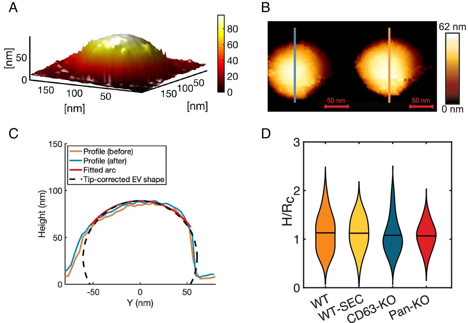 Measuring Force of Scanning Probes of Coordinate Machines — CMM QUARTERLY