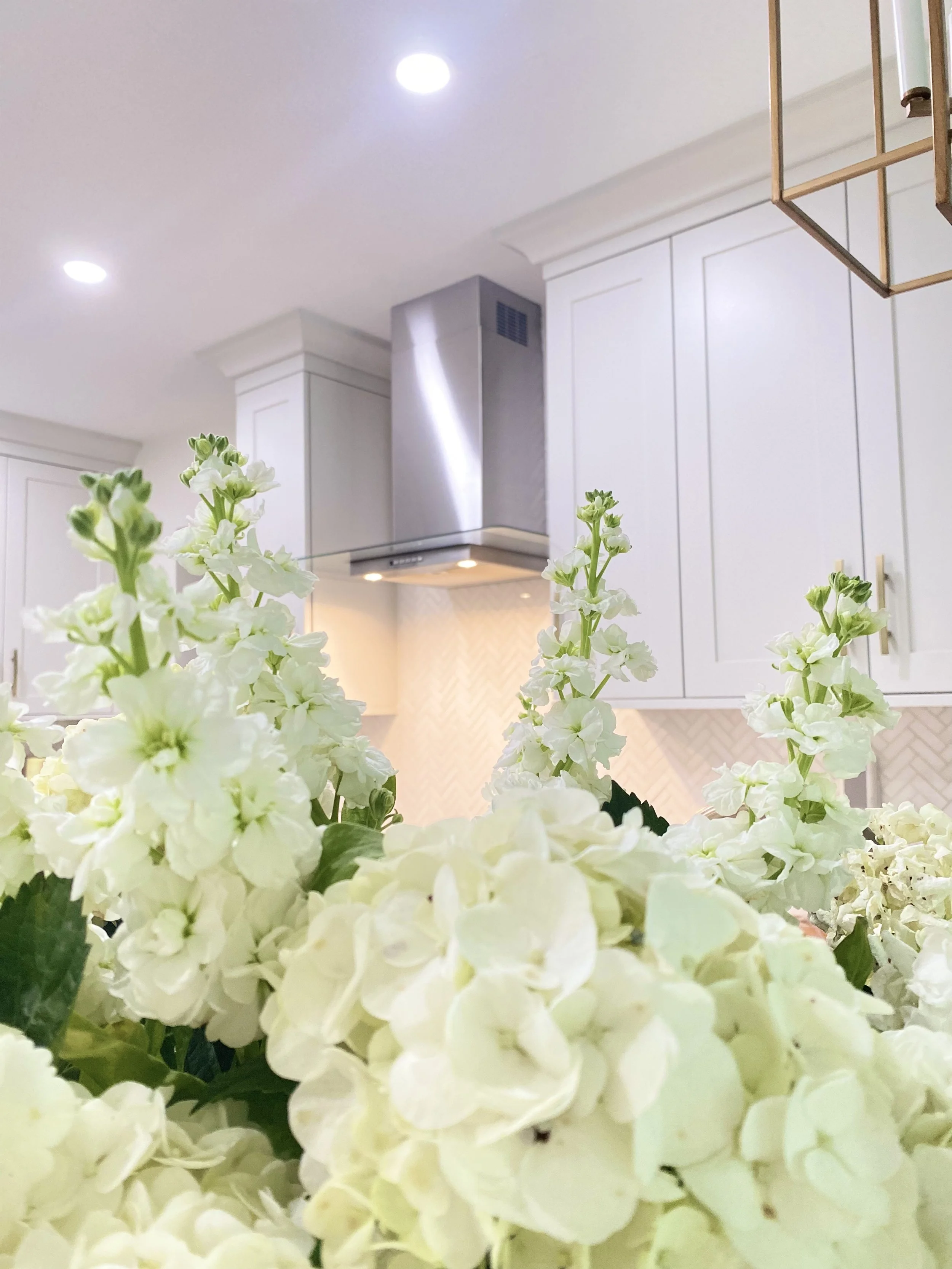 Kitchen design St. Petersburg, FL, kitchen designer, kitchen inspiration, kitchen inso, kitchen remodel Tampa, Kitchen designer Tampa, kitchen remodel St. Pete, kitchen designer Orlando, kitchen design Orlando, Tampa | South Tampa | St Petersburg, FL