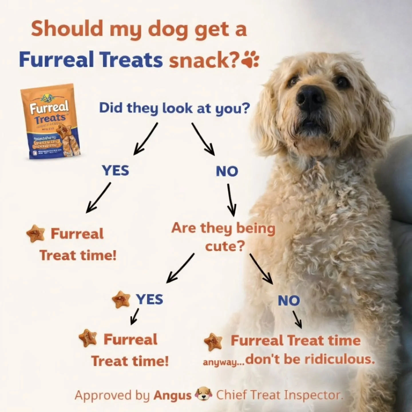 We did the research&hellip; and the results are clear 🐾👇
Should your dog get a Furreal Treats snack?
✔️ Looked at you?
✔️ Existing?
✔️ Being ridiculously cute?
Honestly&hellip; the answer is always the same 😌
⭐ Furreal Treat time!
Approved (obviou