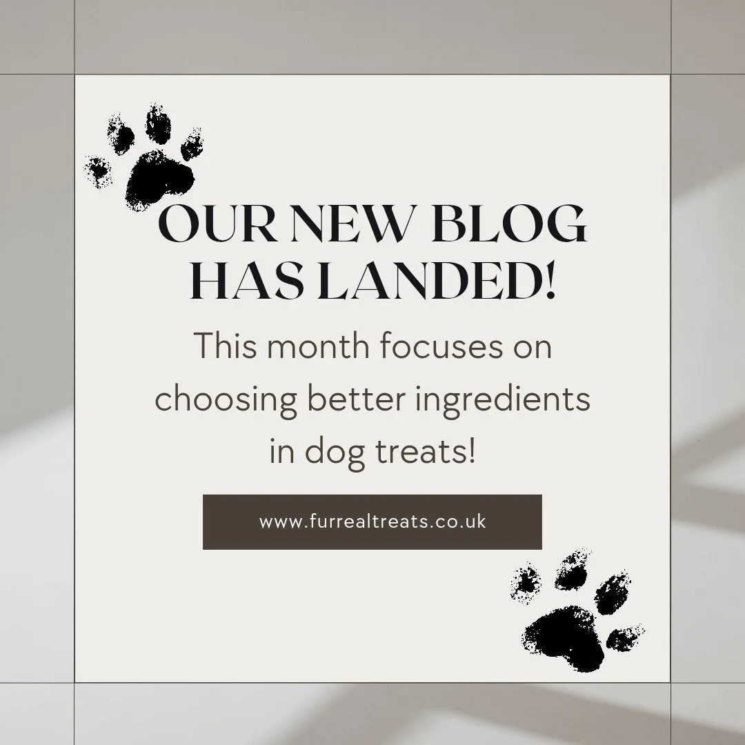🐾 NEW BLOG ALERT 🐾
Want to know what really goes into your dog&rsquo;s treats? 👀
We&rsquo;ve just dropped a brand new blog to help you make better, more informed choices when it comes to your pup&rsquo;s snacks 🦴💛
From understanding ingredient l