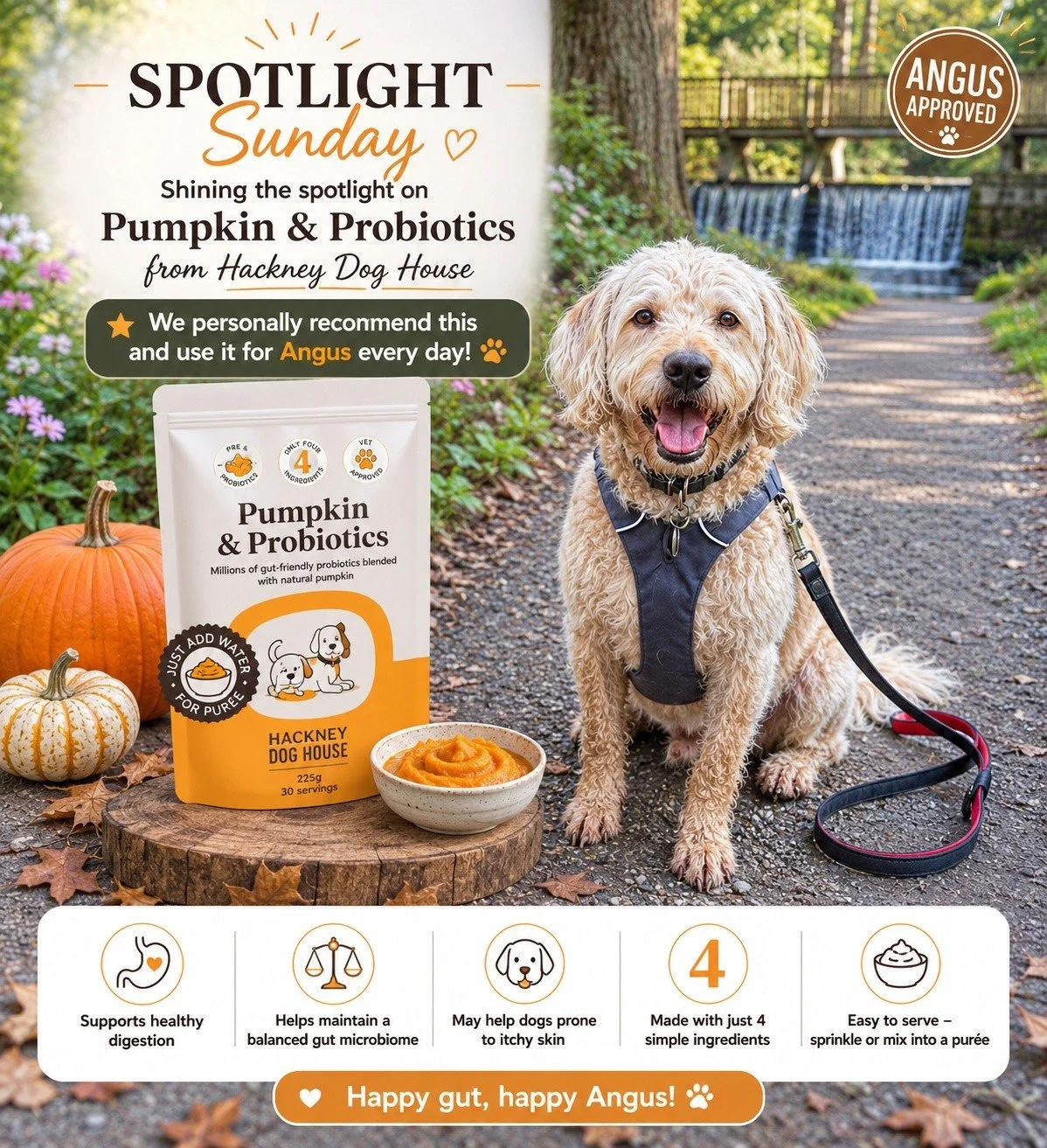 ⭐ SPOTLIGHT SUNDAY ⭐

This week's Spotlight Sunday feature is Pumpkin &amp; Probiotics from Hackney Dog House &mdash; a product we personally use for Angus and genuinely recommend. Better yet, it's on offer today only for &pound;12.95, giving you a f