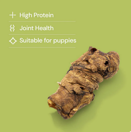 buffalo lung.png