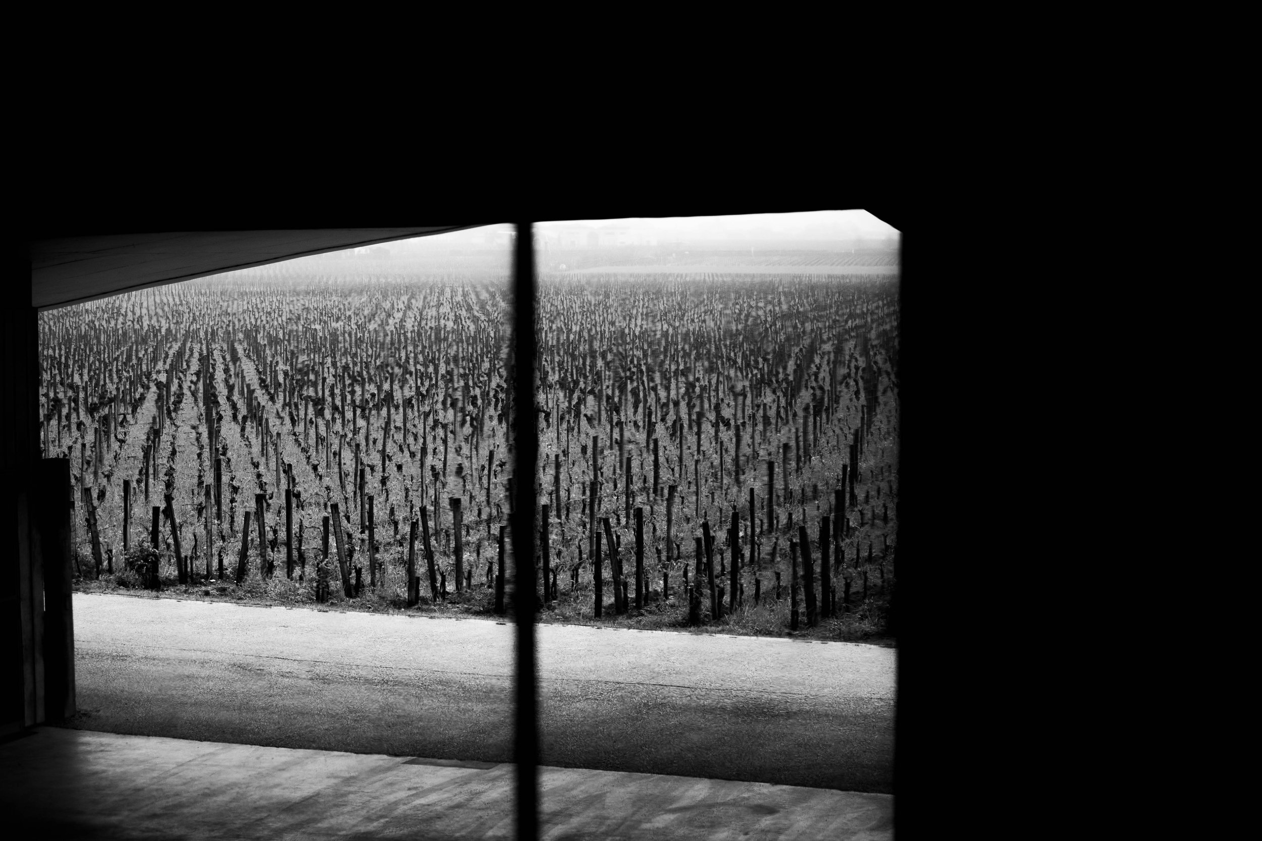 EnPrim2022 (1 of 8).jpg