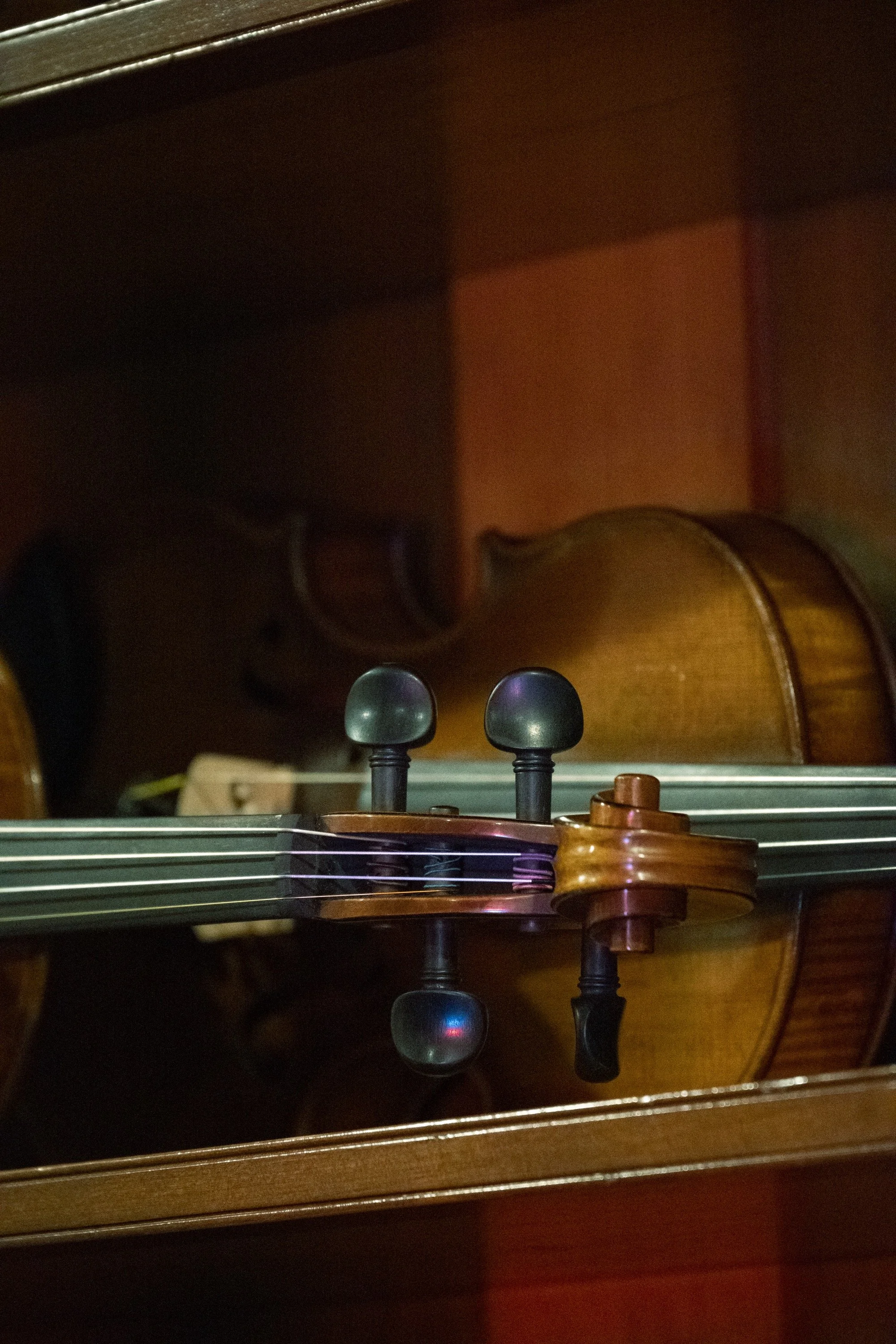 bachorik_Shaker Violin-31.jpg